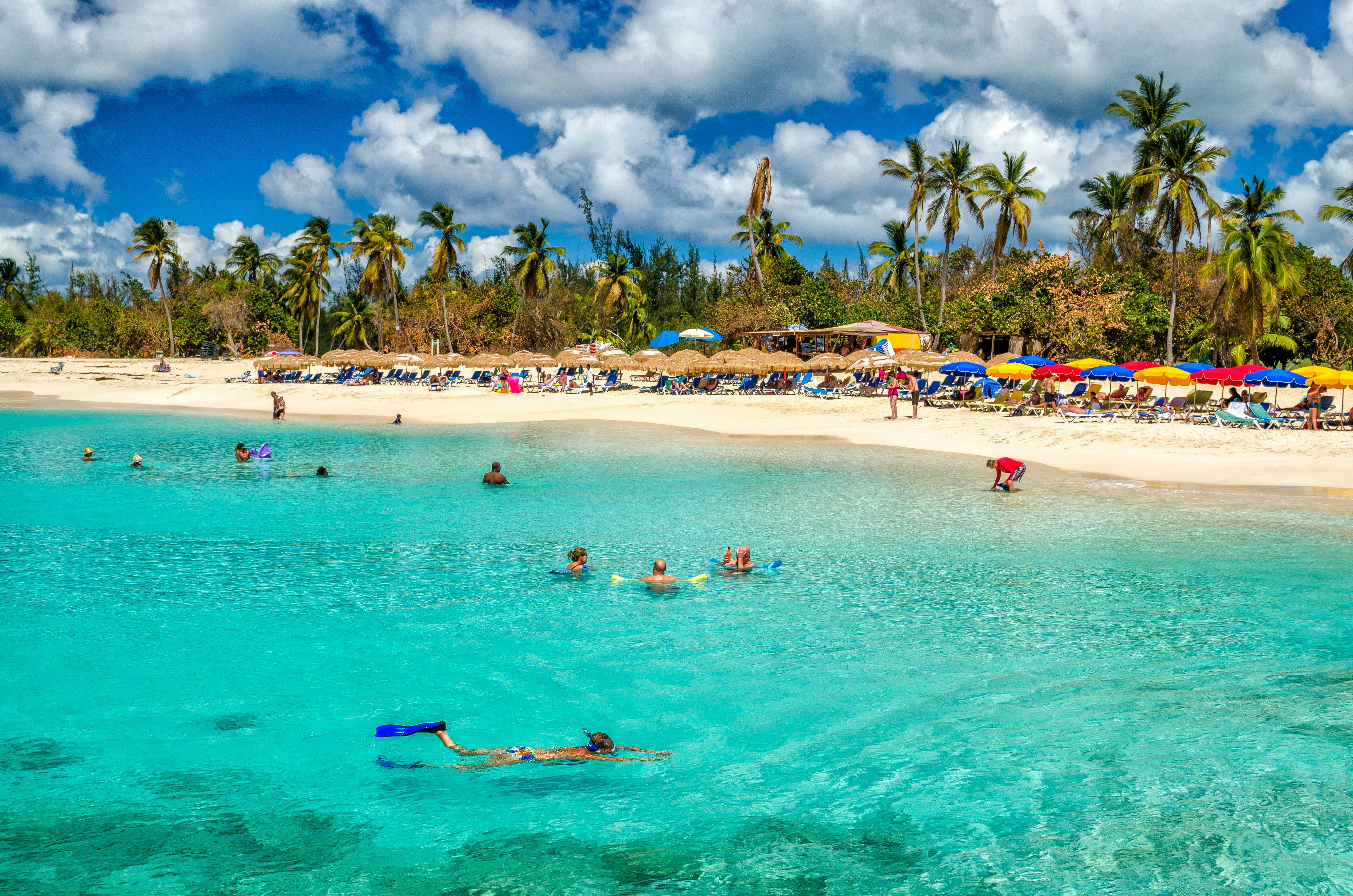 A clear blue watered beach where a person snorkels in the foreground. The shore is lined with yellow, blue and red umbrellas and thatch umbrellas.