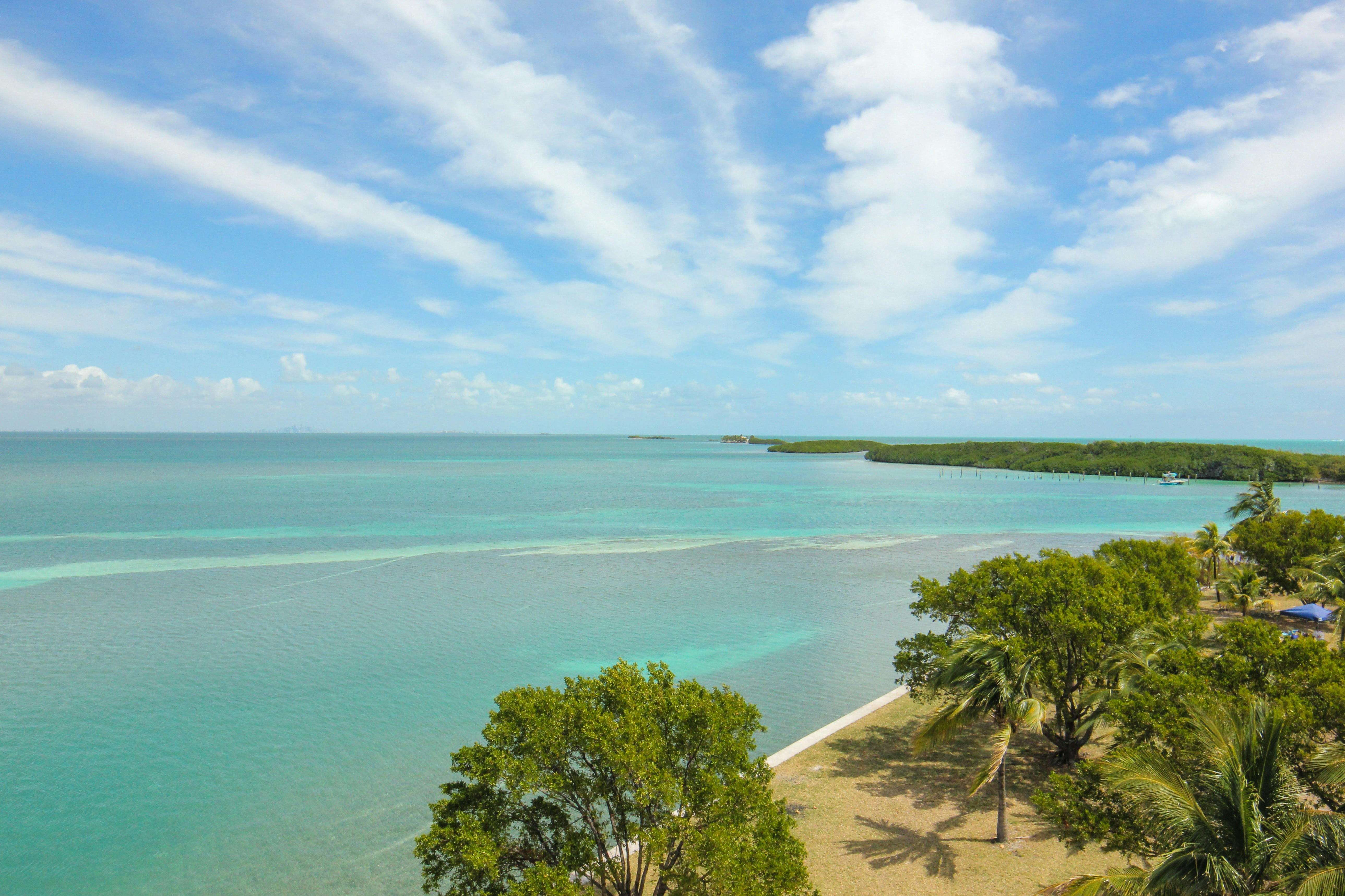 A view from above of a beach lined with trees and the shallow, azure waters beyond.