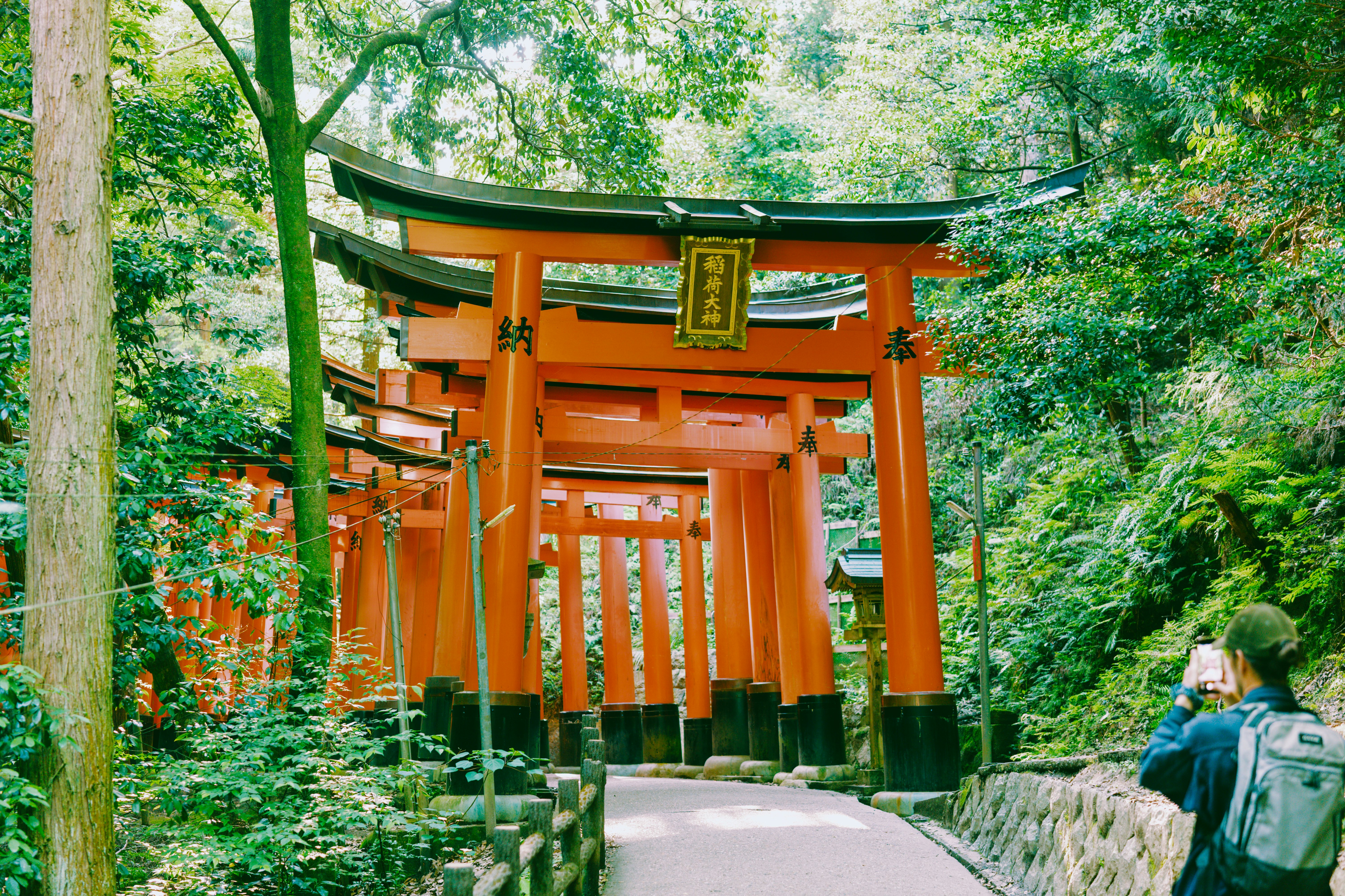 A series of orange Shinto gates set in a verdant park.