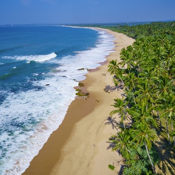 Sri Lanka, Southern Province, South Coast beach, Tangalle beach, aerial view
550859307
aerial view, beach, coast, coconut, palm tree