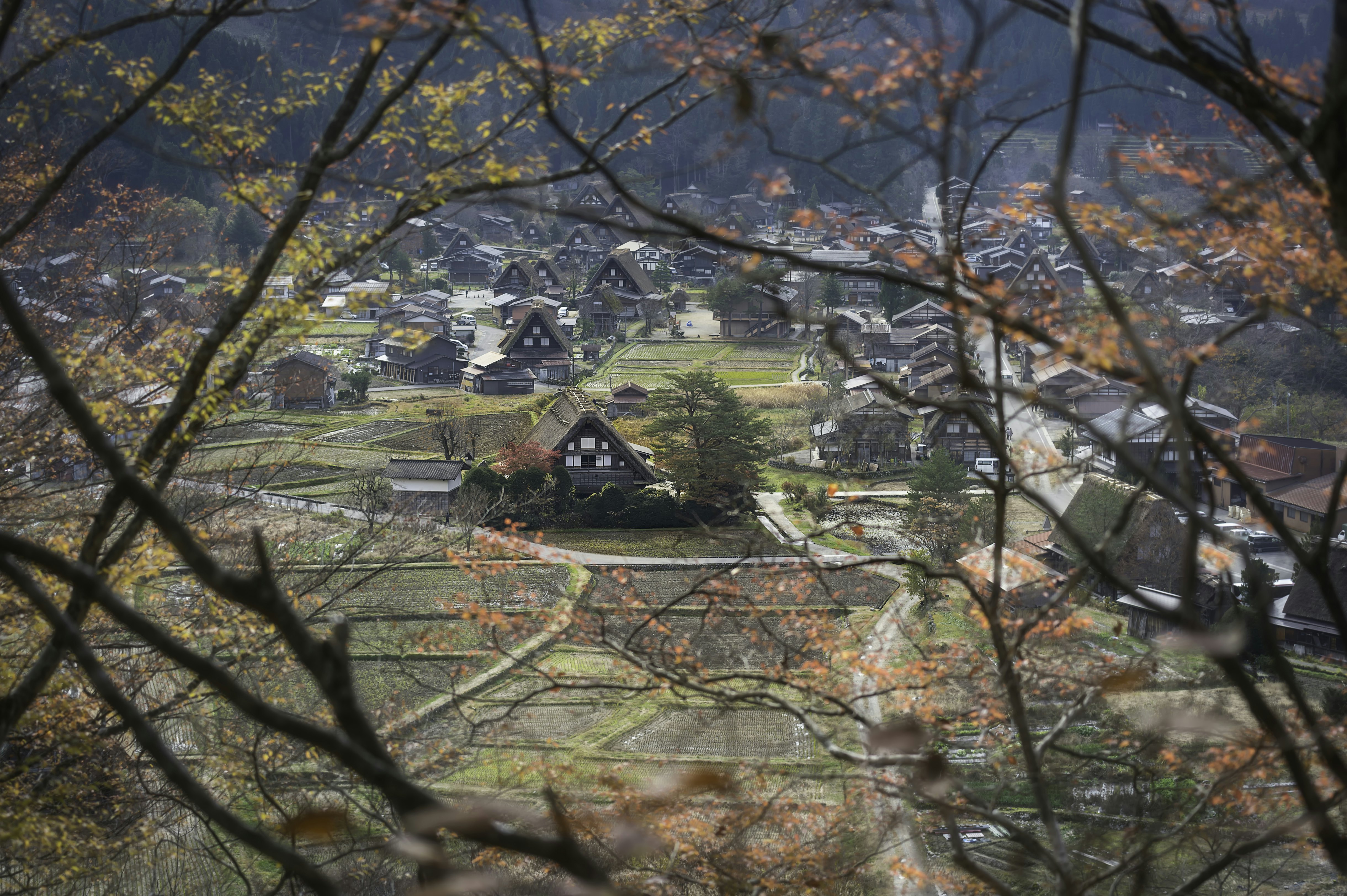 Looking through spring trees at a village of high-peaked, thatched-roof houses on an overcast day.