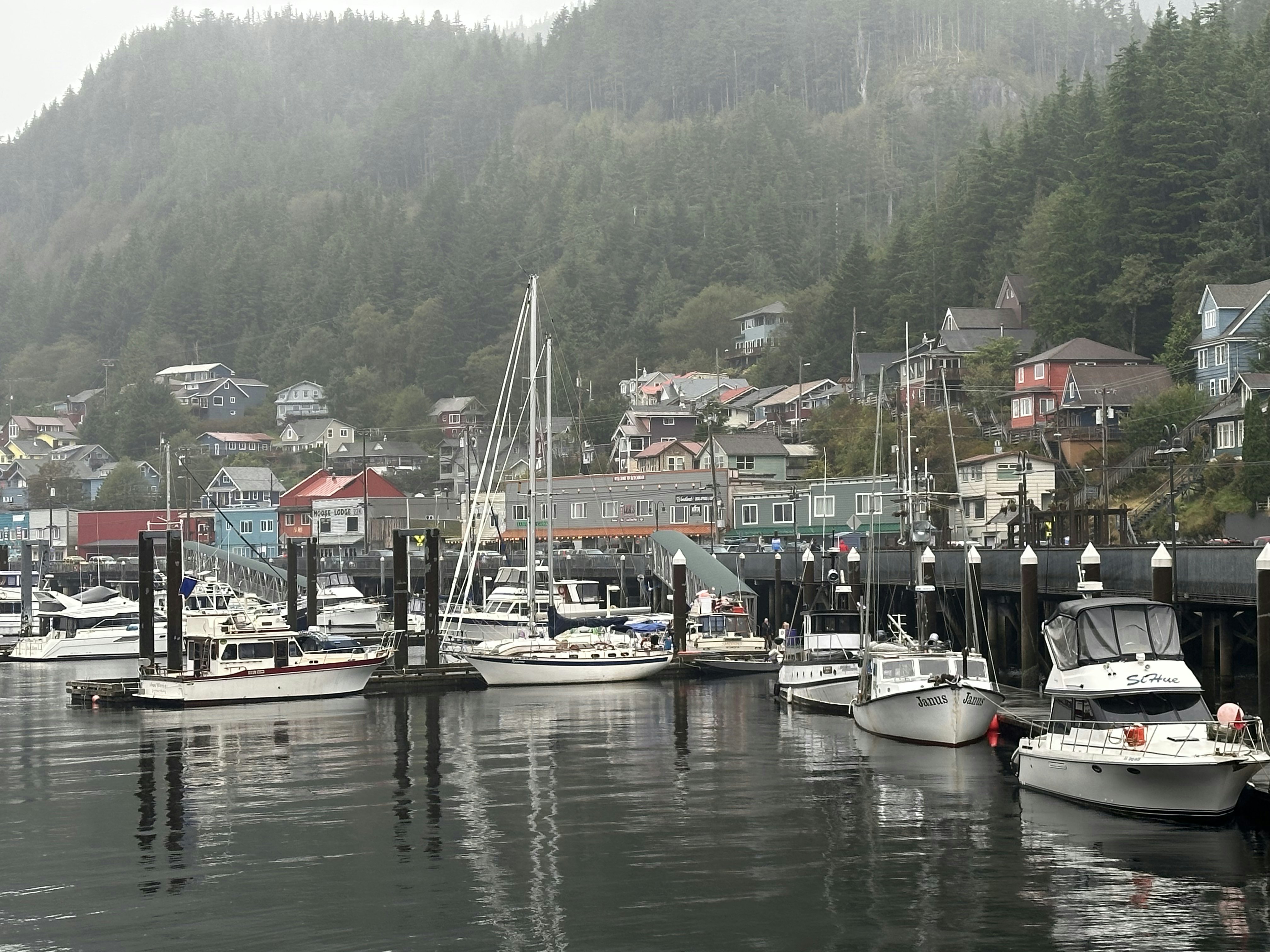 Power boats and sailboats docked in a harbor with buildings along the docks and up a forested hill on an overcast day.
