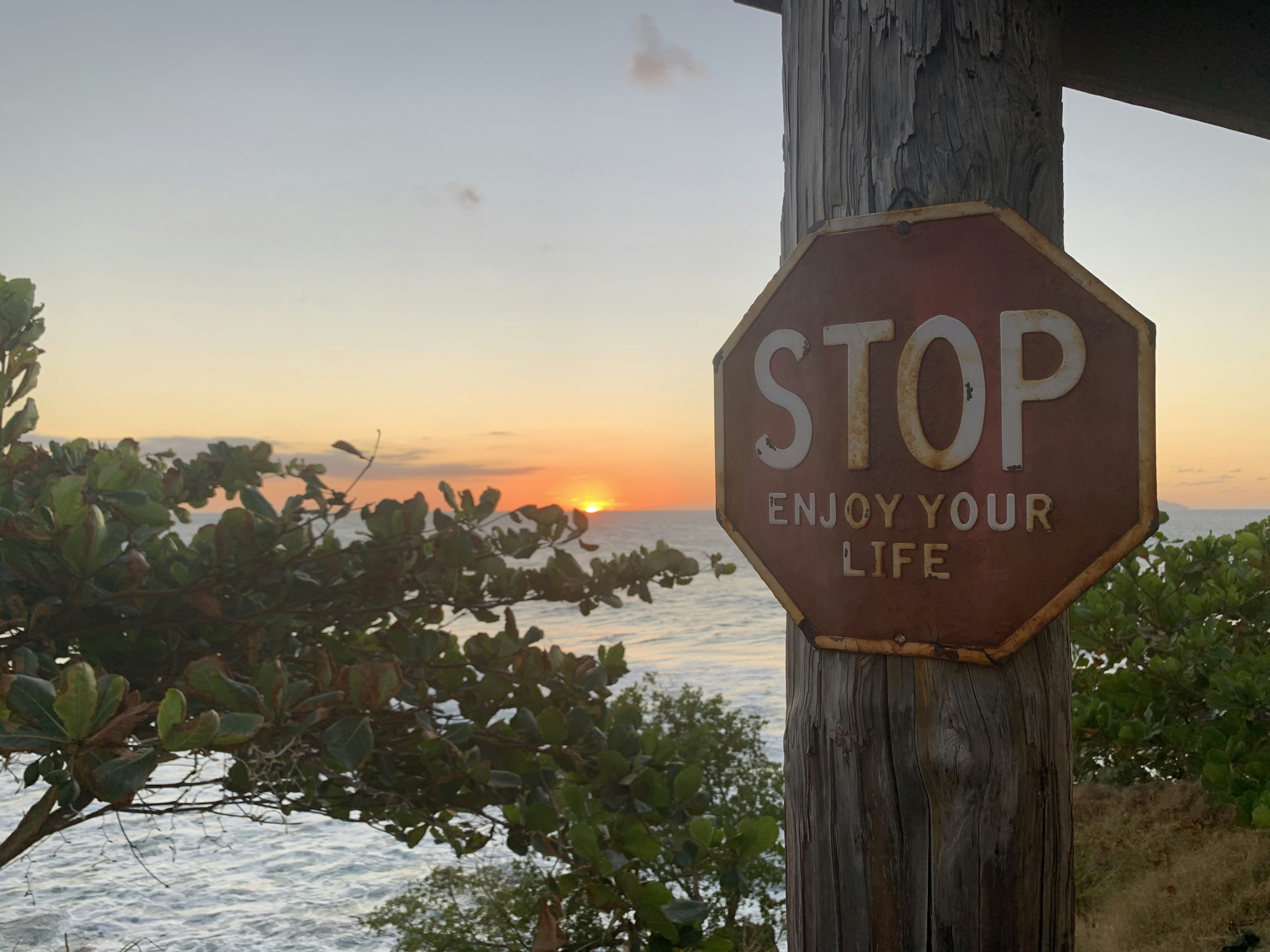 A red stop sign in front of a sunset over the water, with the words "Enjoy your life" written under the word "stop"