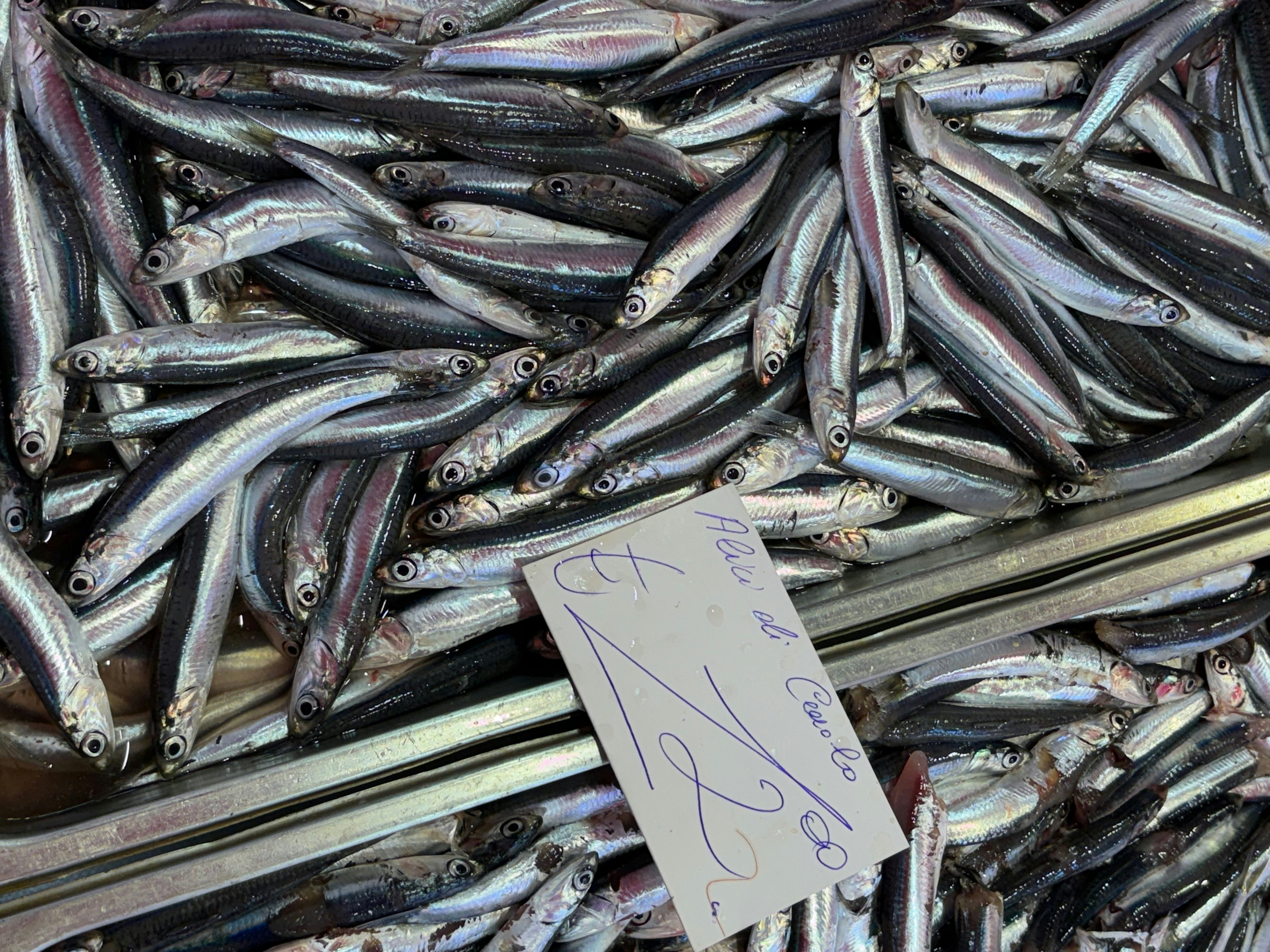 Fish stall at La Pescheria fish market, with fish in large tins