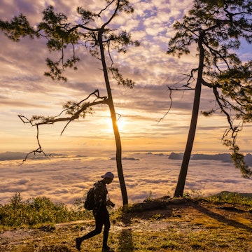 LOEI, THAILAND, OCTOBER 7, 2017: Tourists are see the sunrise at view point Nok Aen Cliff at Phu Kradueng National Park. License Type: media Download Time: 2023-11-14T07:39:07.000Z User: lonelyplanetmedia Is Editorial: Yes purchase_order: