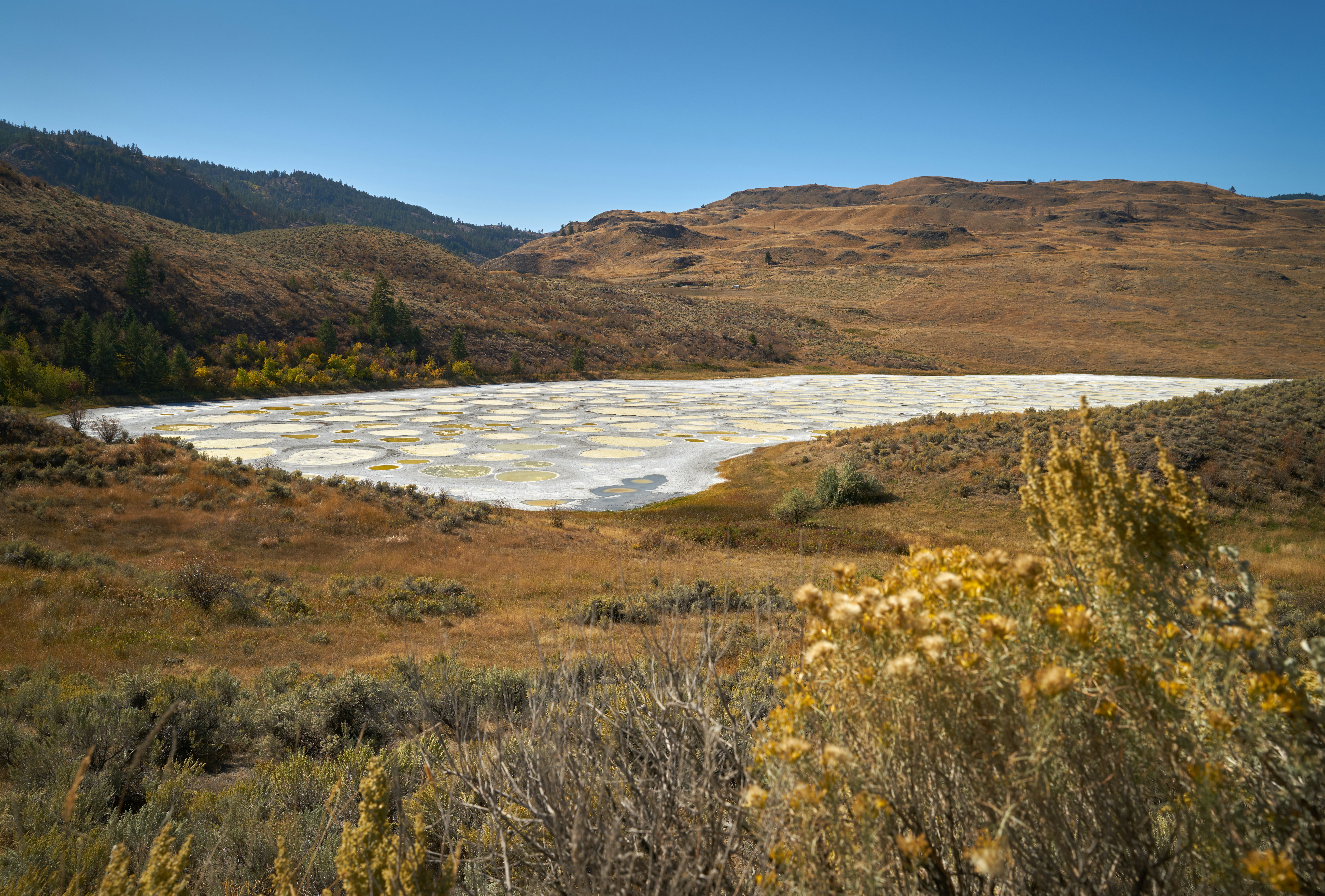 A small lake with circles atop the low water surrounded by low hills and desert brush on a cloudless day.