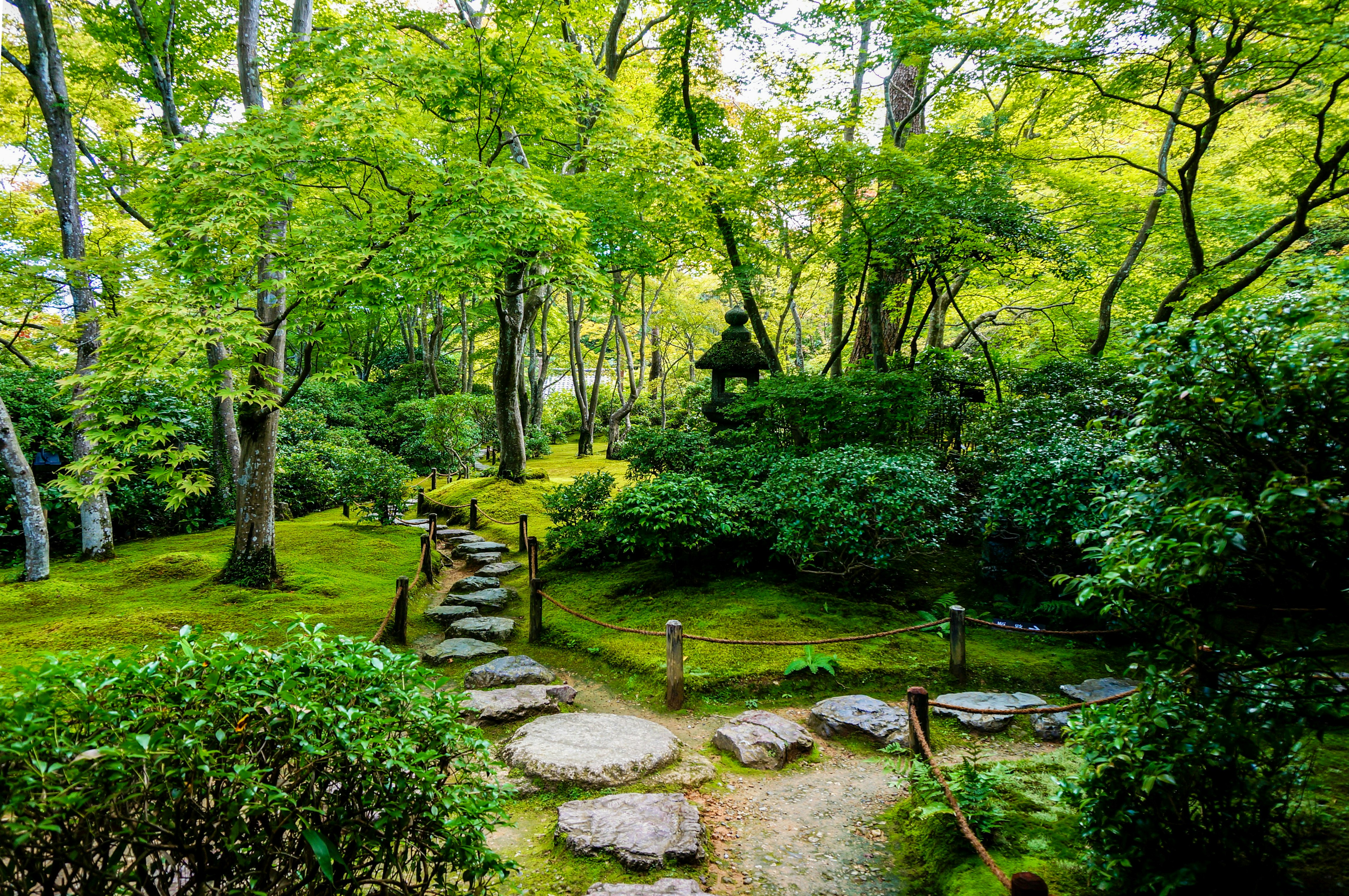 Grassy field with stone walkway.