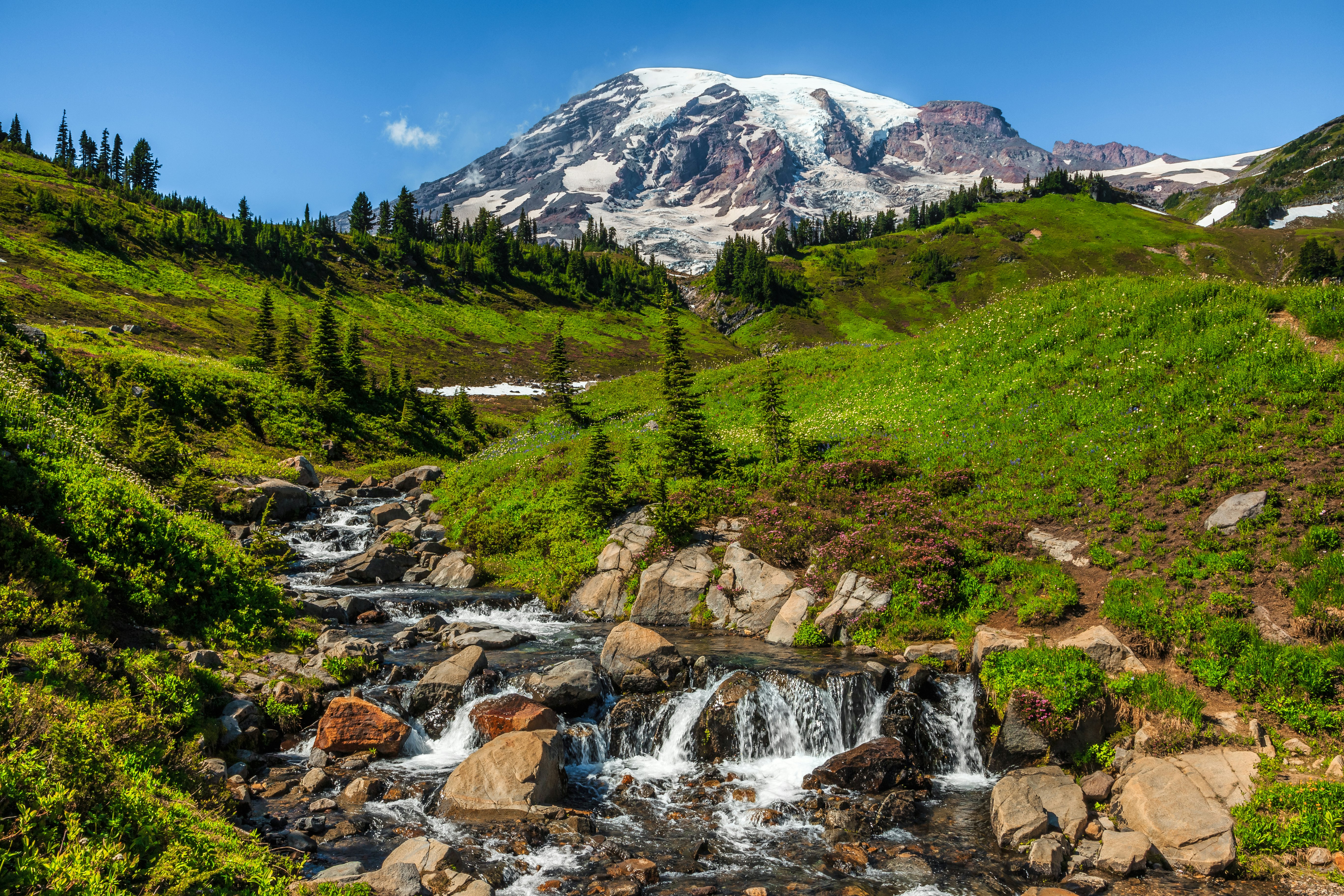 Mountain Rainier from the Skyline Trail in Paradise Valley, Mt Rainier National Park, Washington