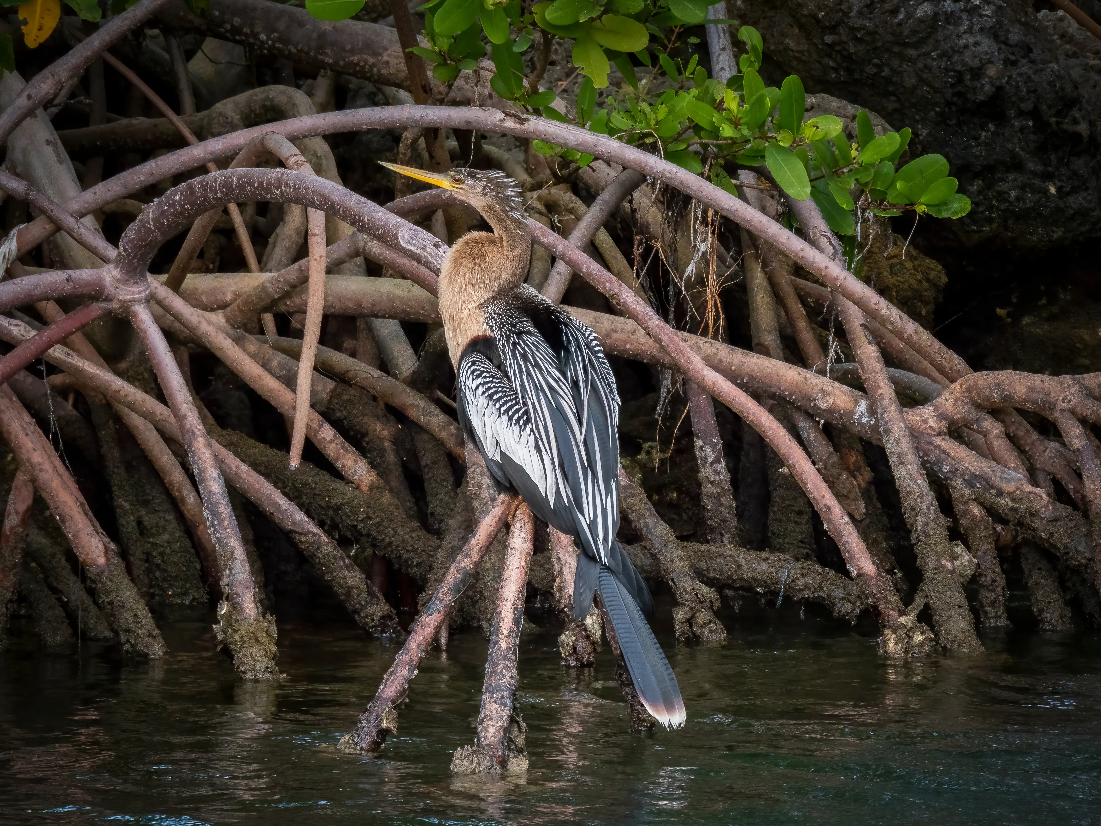 guide-to-biscayne-national-park-florida-lonely-planet
