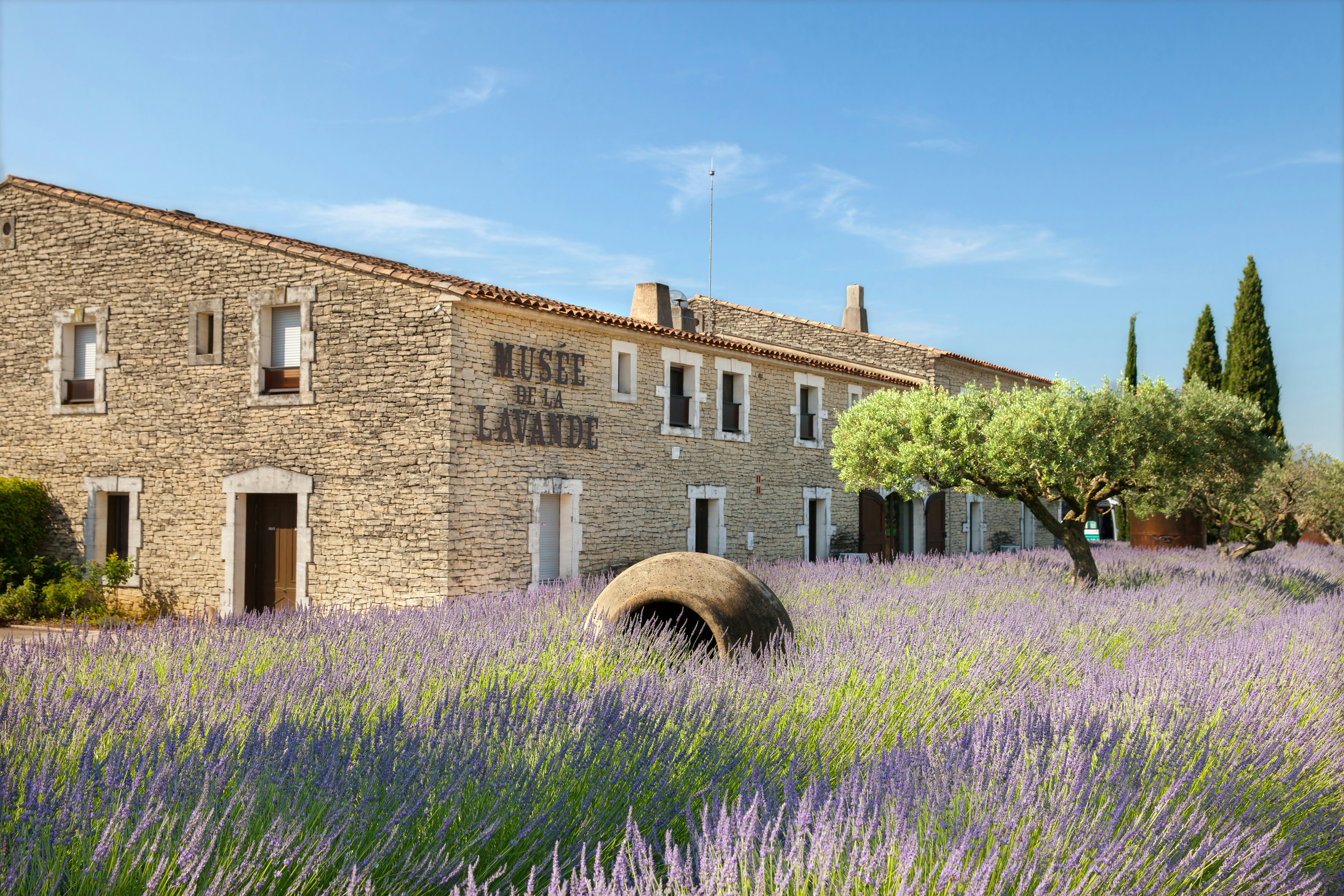 COUSTELLET, FRANCE -- The Museum of lavender in Provence on summer hot day.