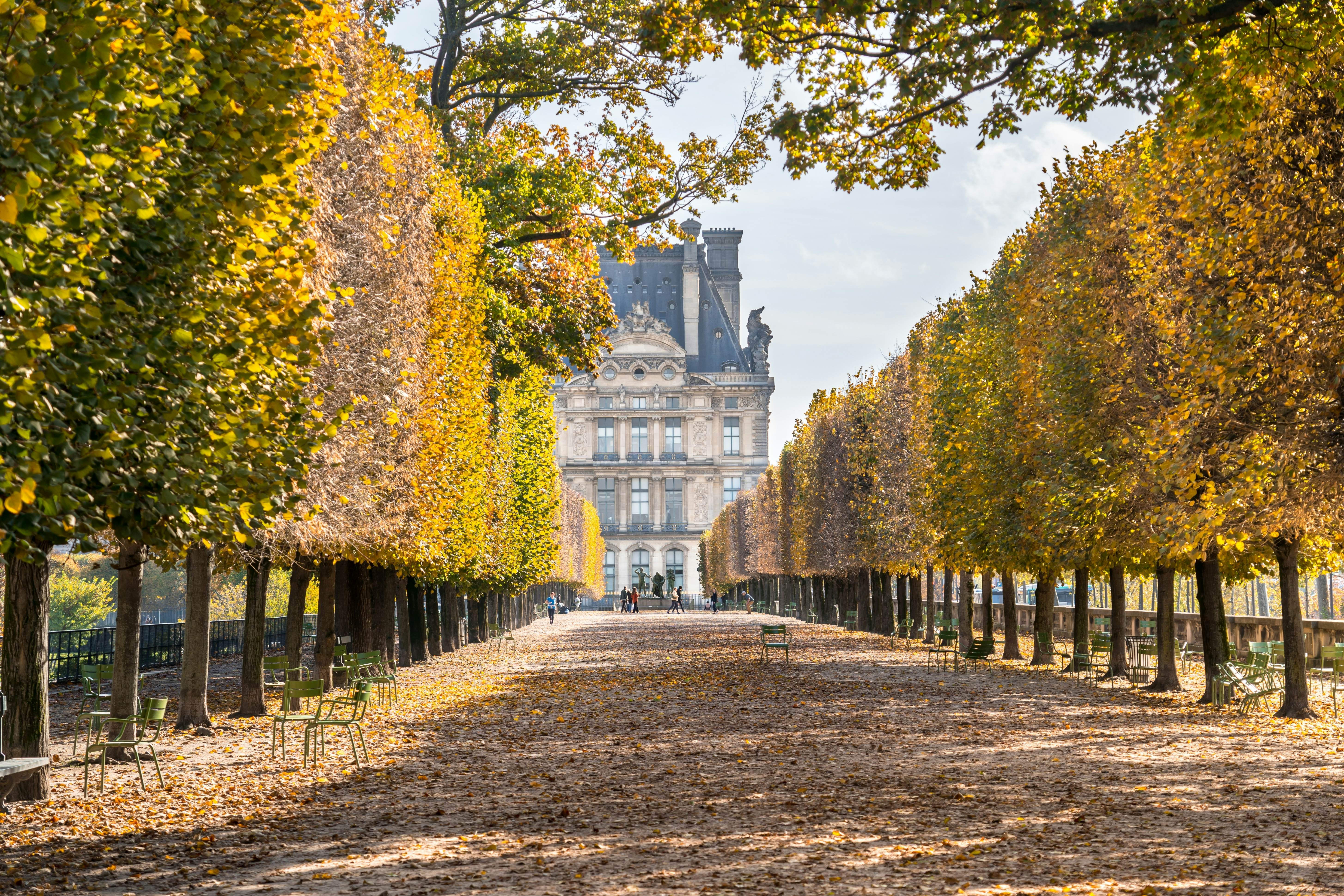 Autumn in Paris in the park near Louvre Museum  