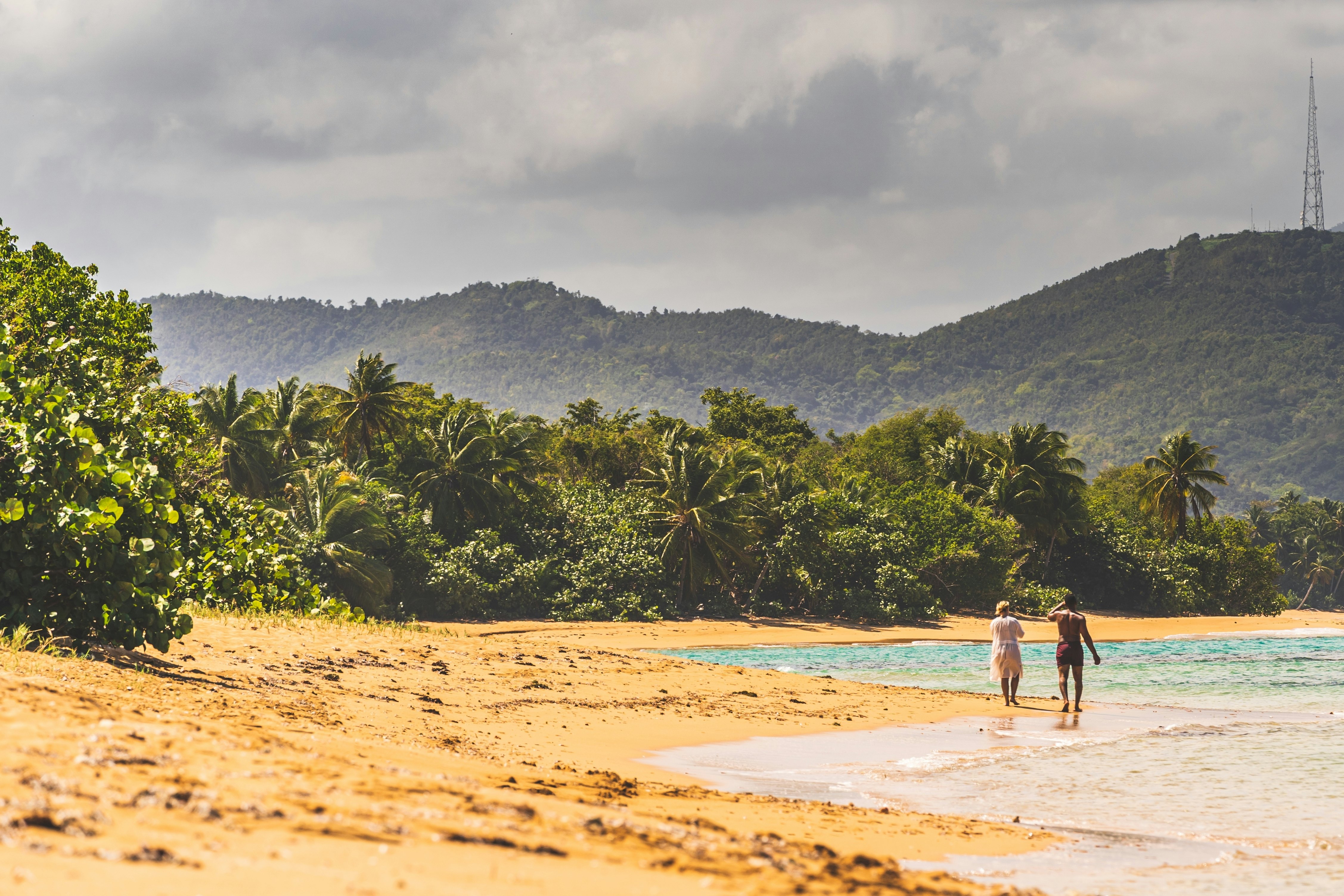 Two people walking on the beach with jungle behind