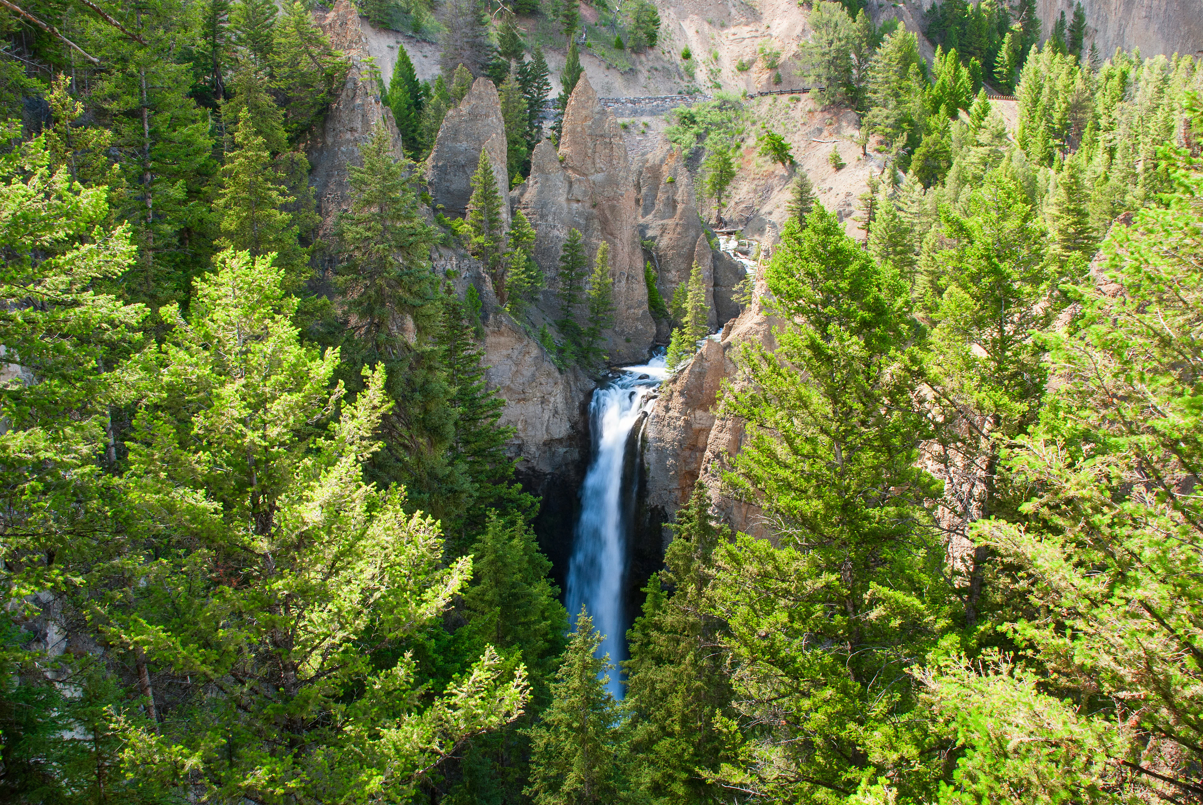 A waterfall pours into a dramatic woodland canyon.