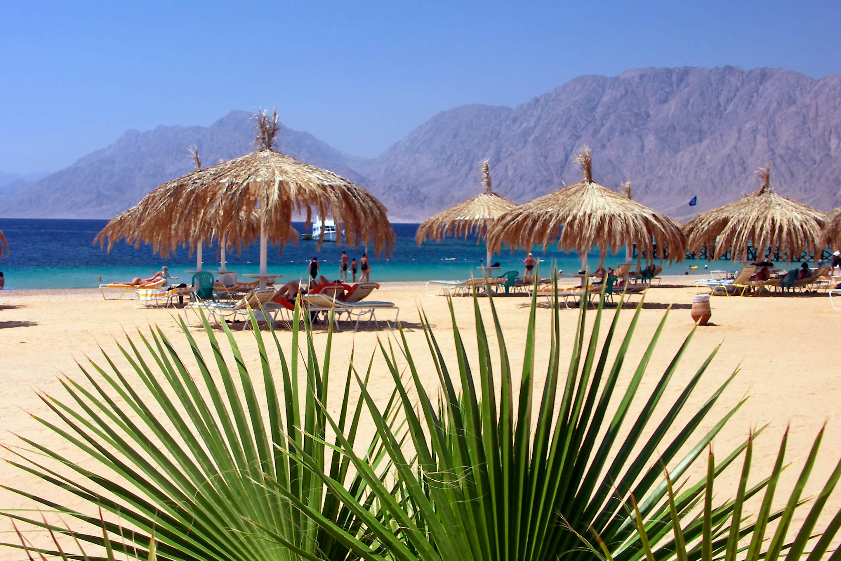 Egypt Nuweiba - beach with palm and umbrella at Reds sea  License Type: media  Download Time: 2023-07-12T06:48:21.000Z  User: aomi.ito_lonelyplanet  Is Editorial: No  purchase_order: