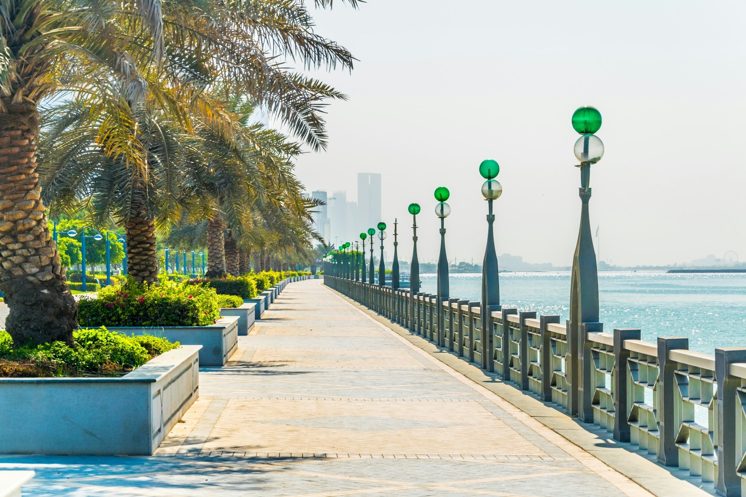 A waterfront promenade lined with palm trees and street lights.