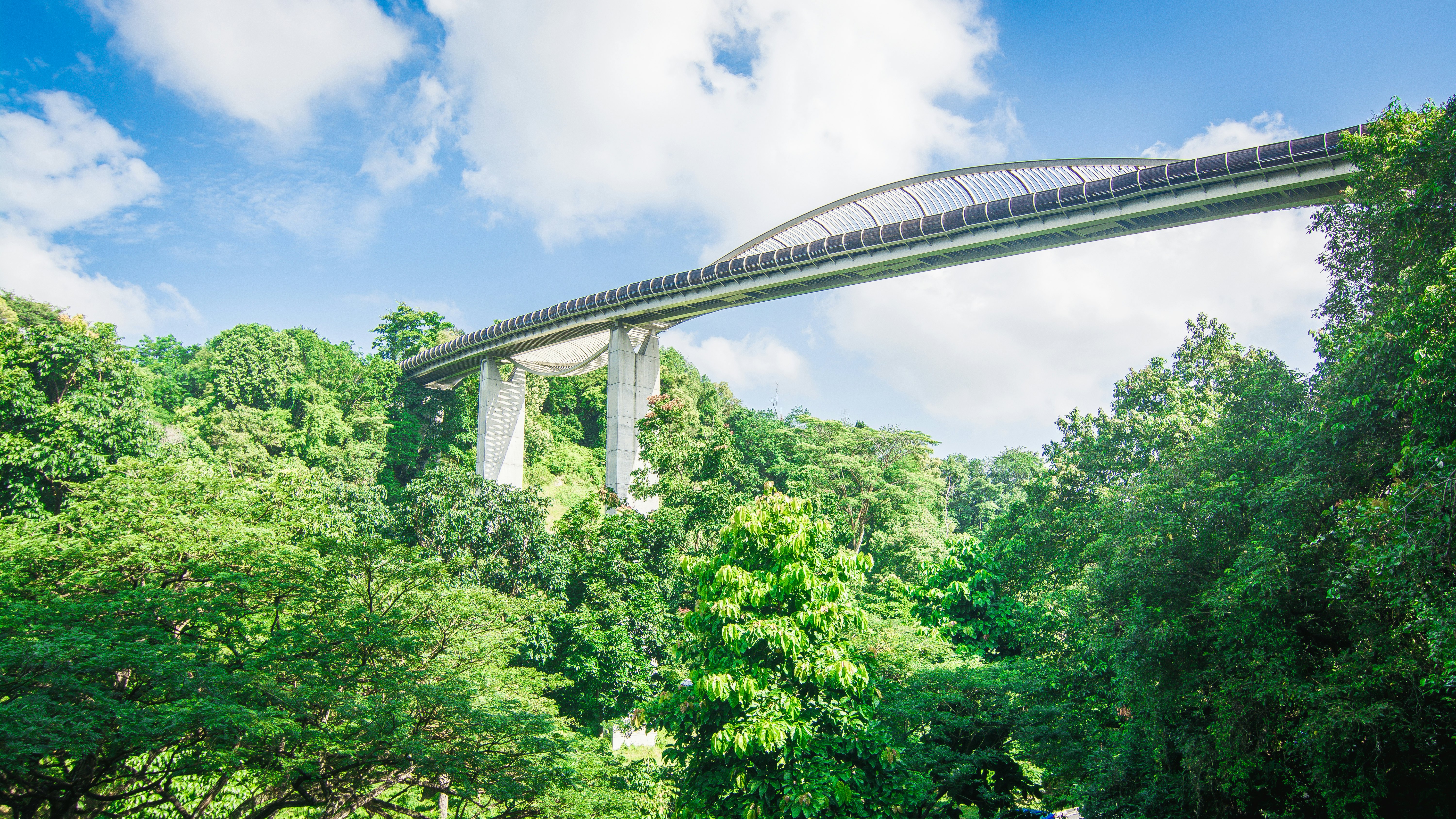 A high pedestrian bridge towering above trees on a sunny day.