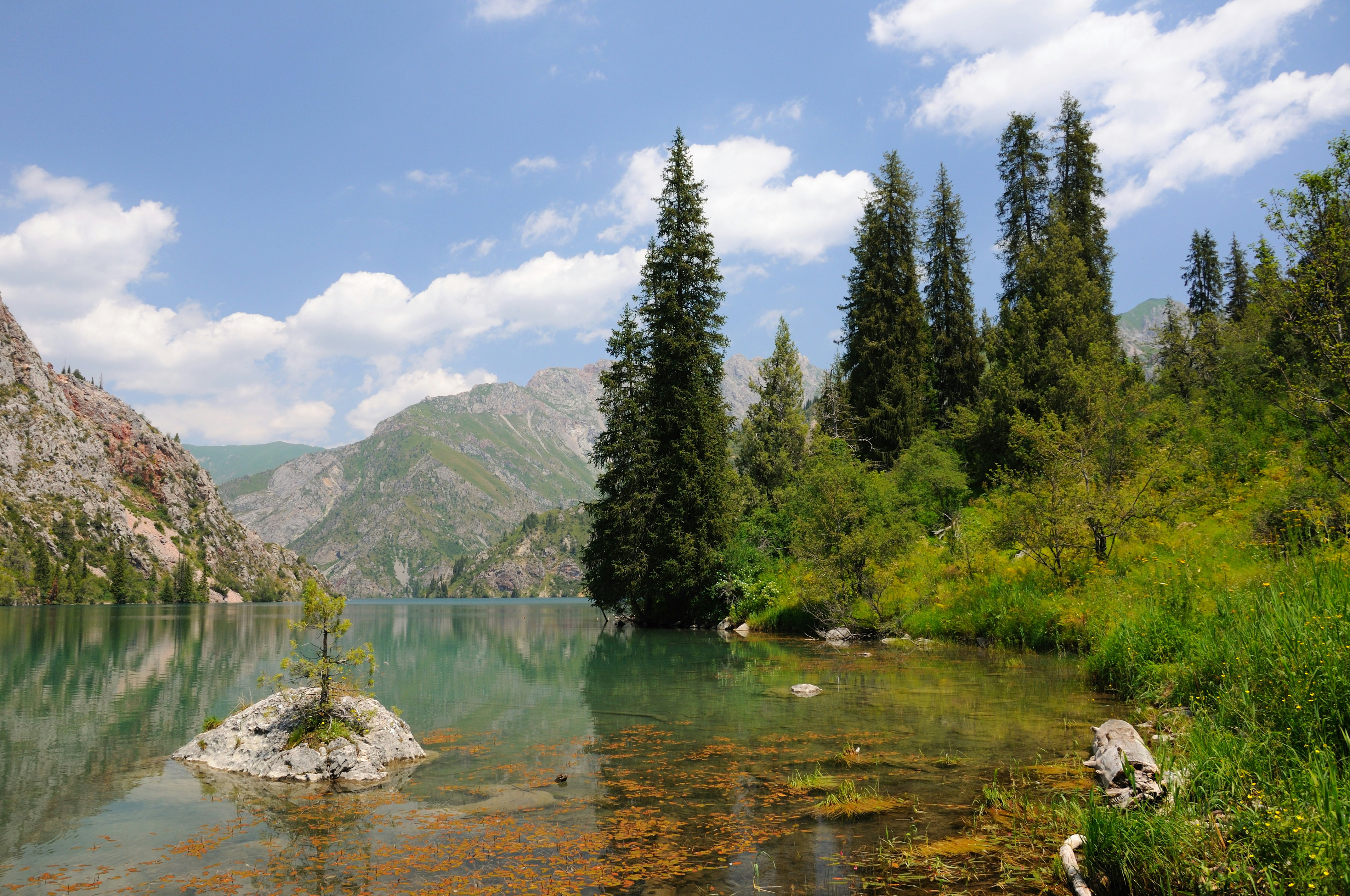 Lake surrounded by green bushes and evergreens to the right and a rocky hillside to the left, with a rocky mountain in the distance.