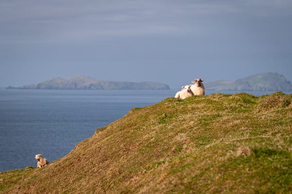 The best time to visit Ireland