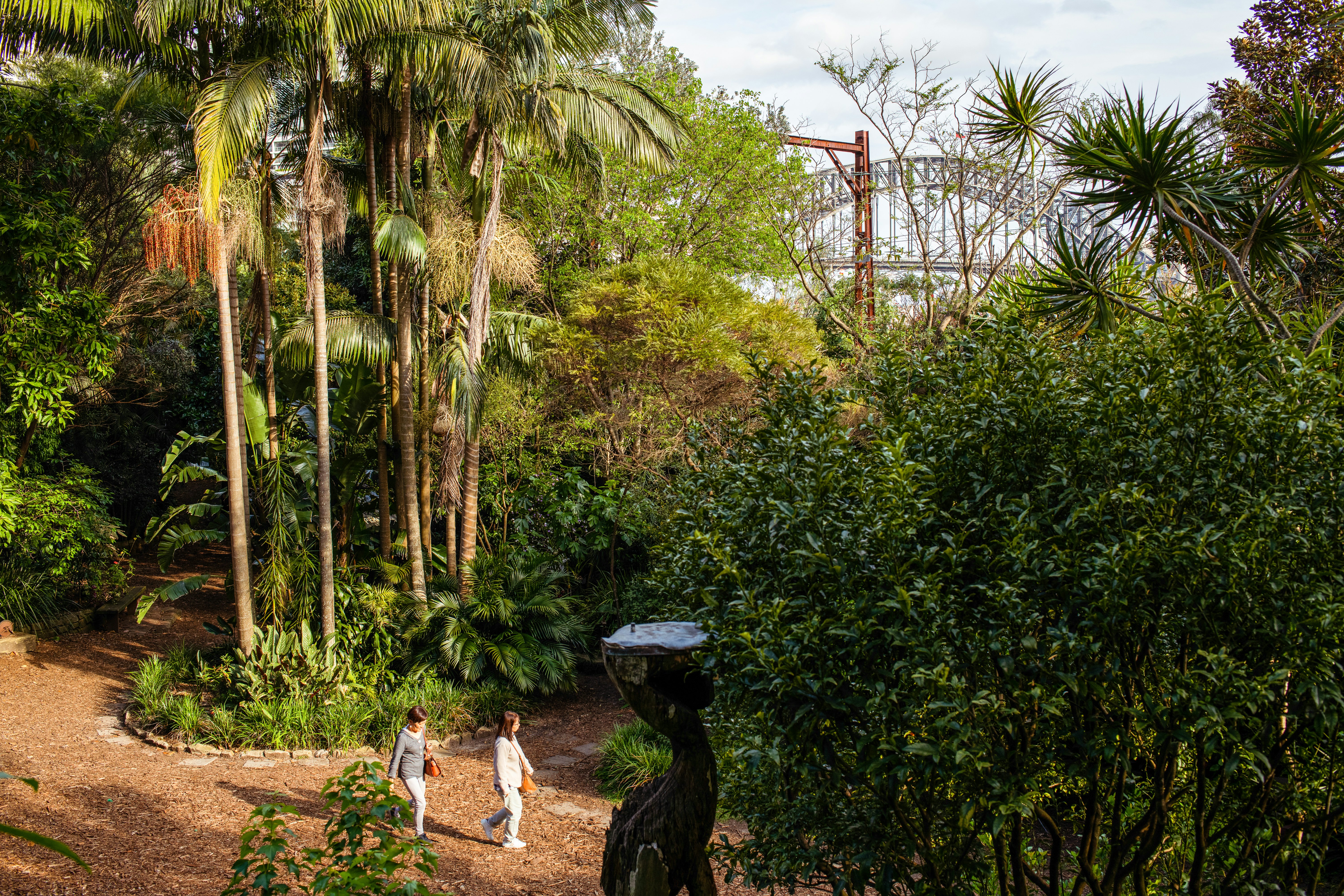 People walk through lush greenery in an urban wooded area.