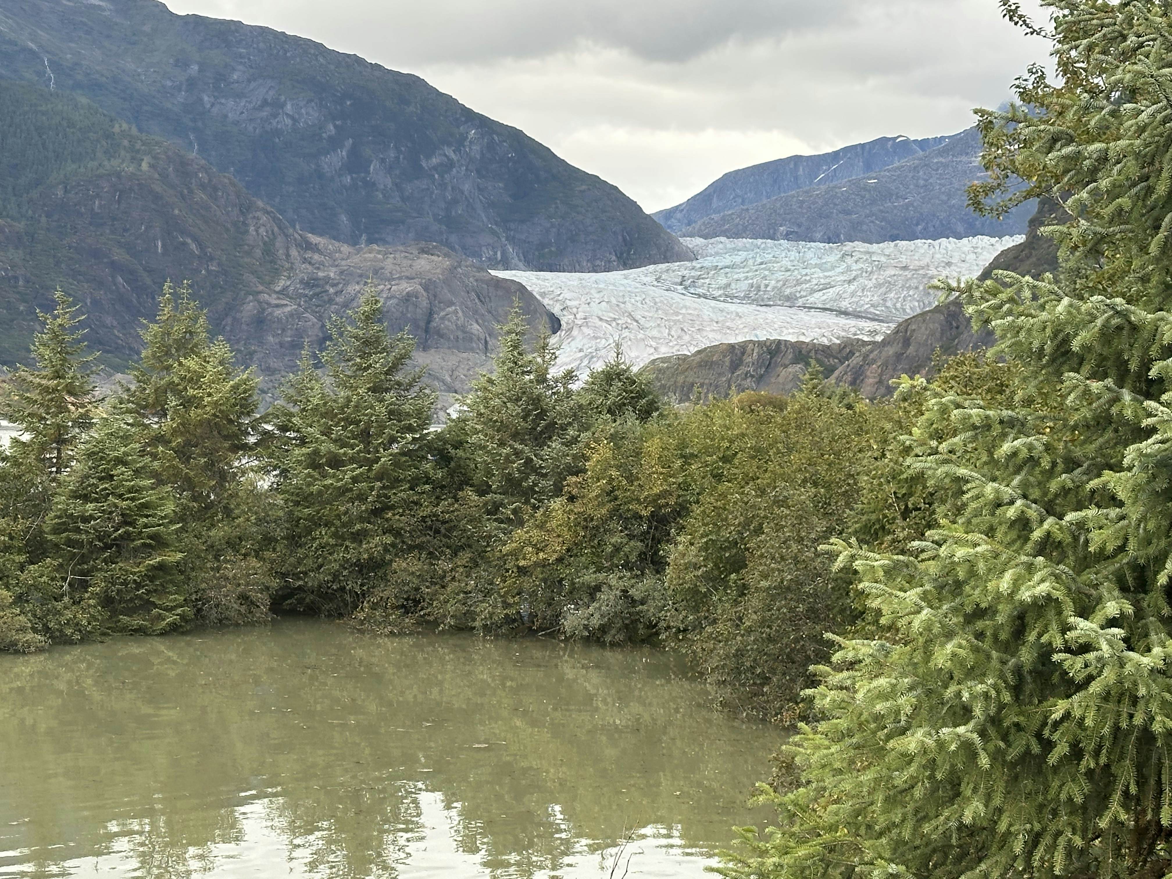 A glacier with forest in the foreground on an overcast day.