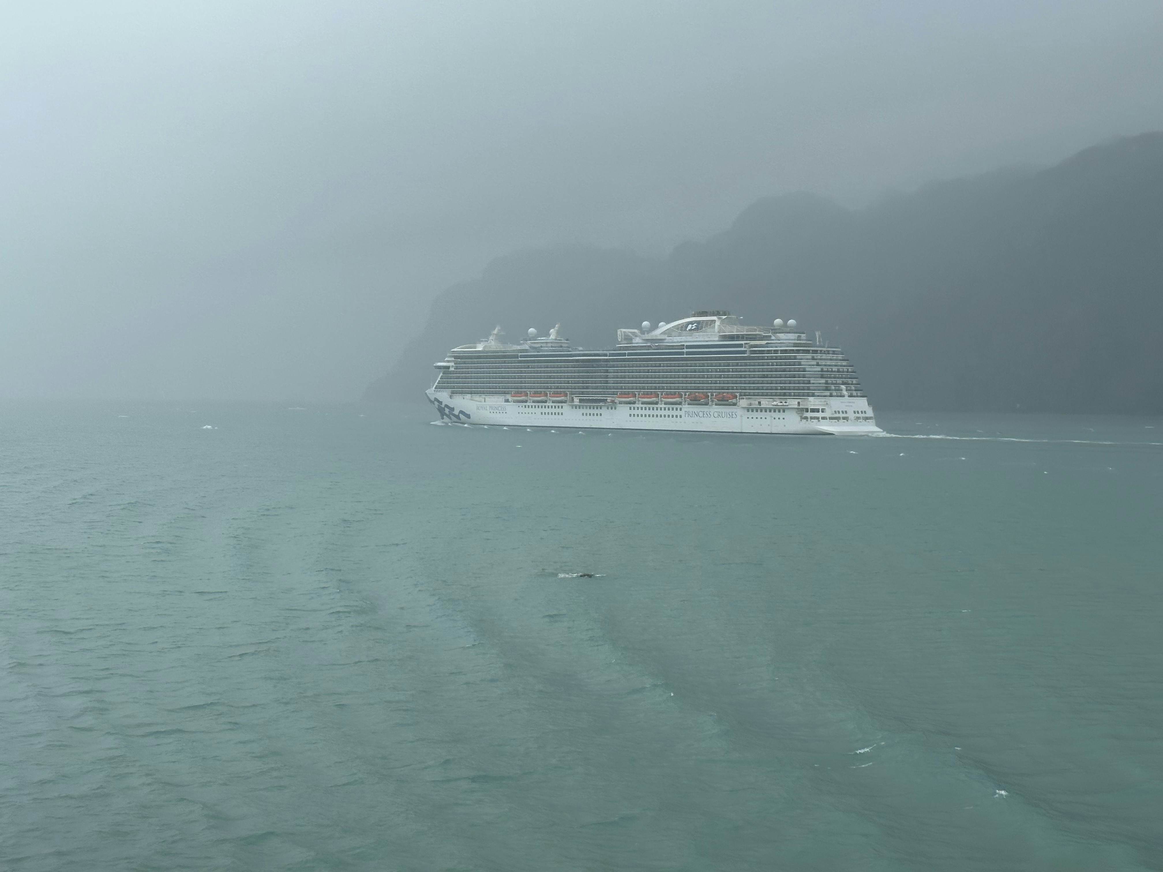 A cruise ship on the sea on an overcast day.