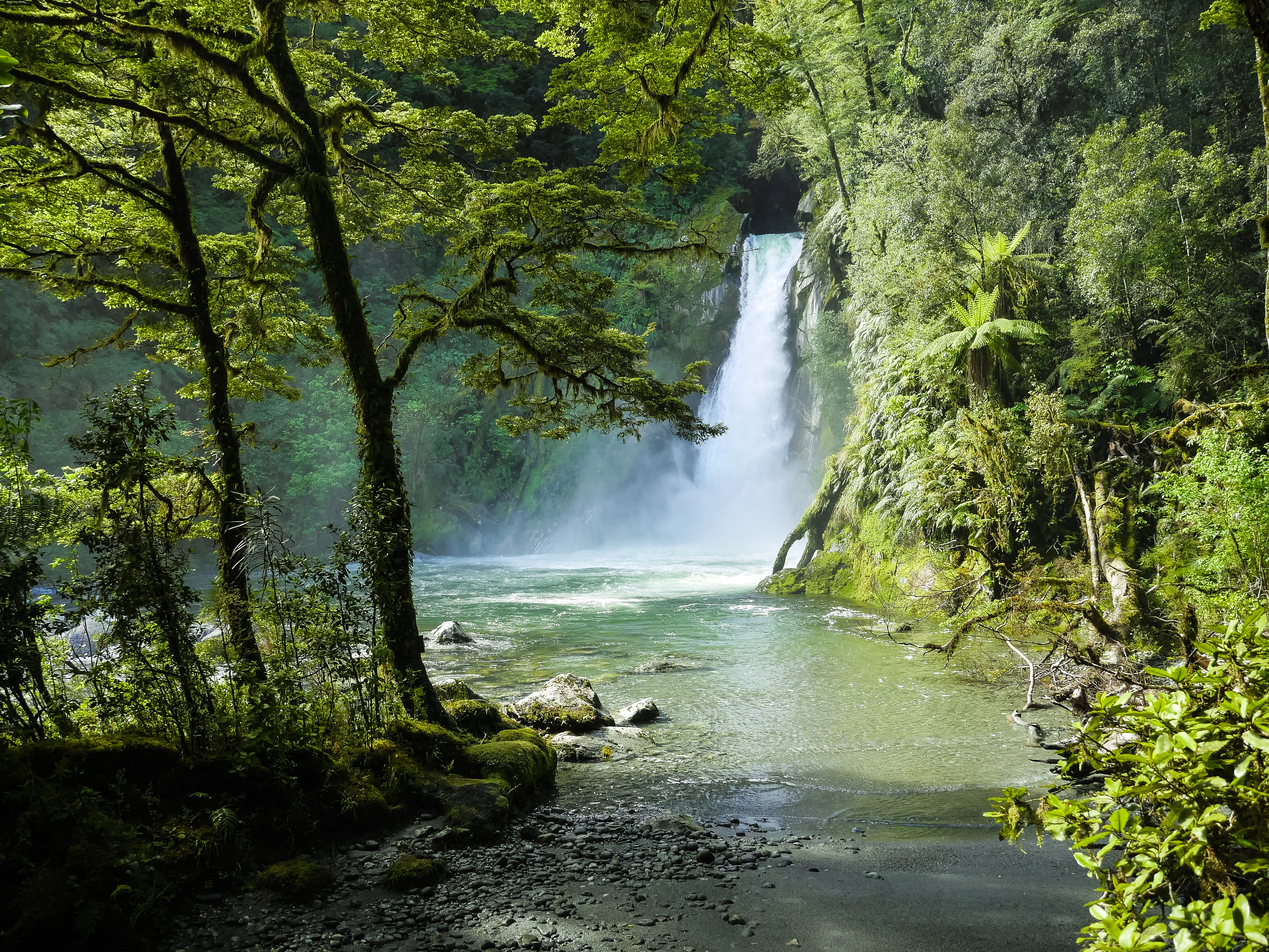 A waterfall gushes into a pool surrounded by dense rainforest foliage.
