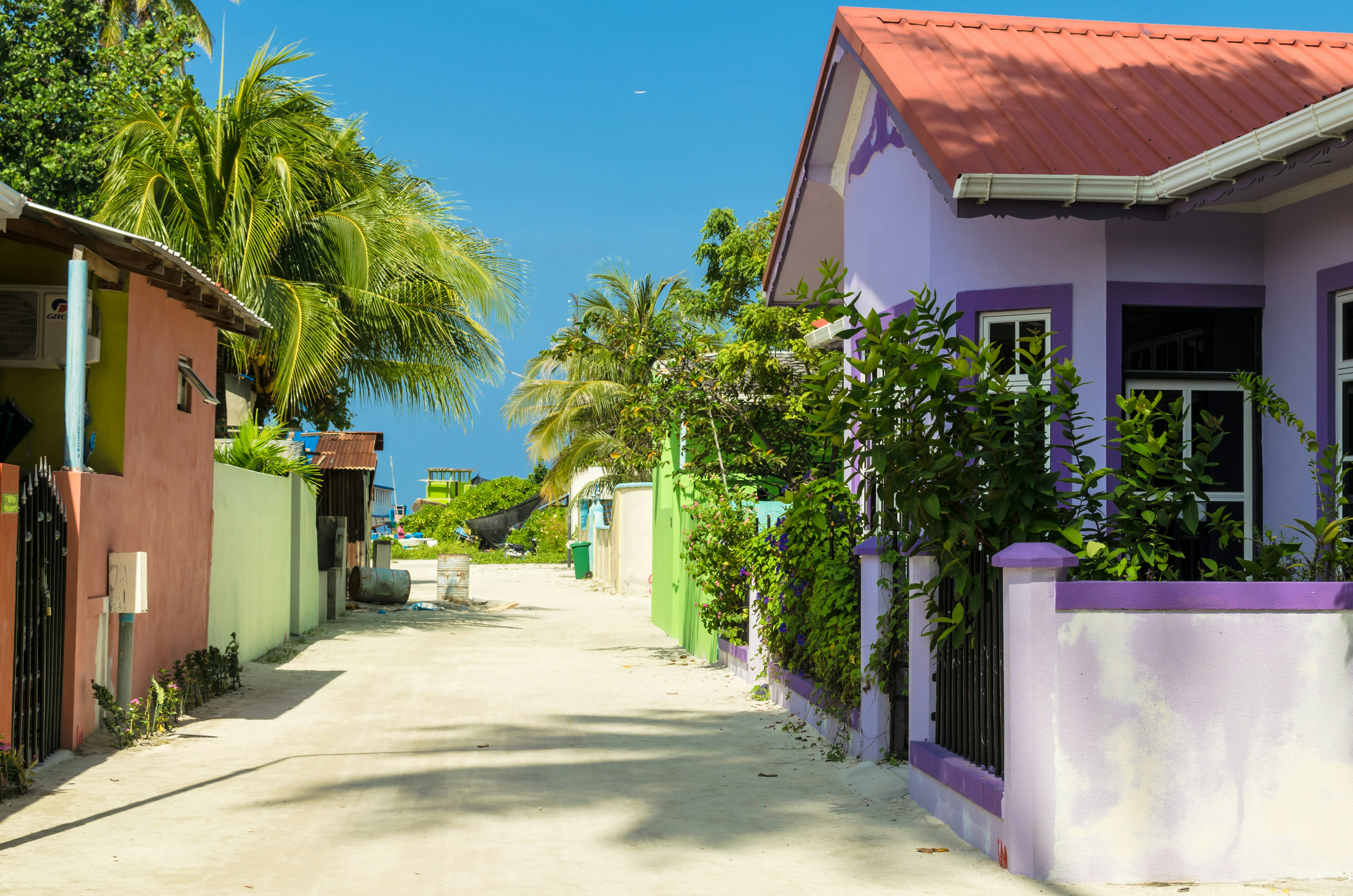 A narrow street lined with colorful homes and palm trees under a clear blue sky