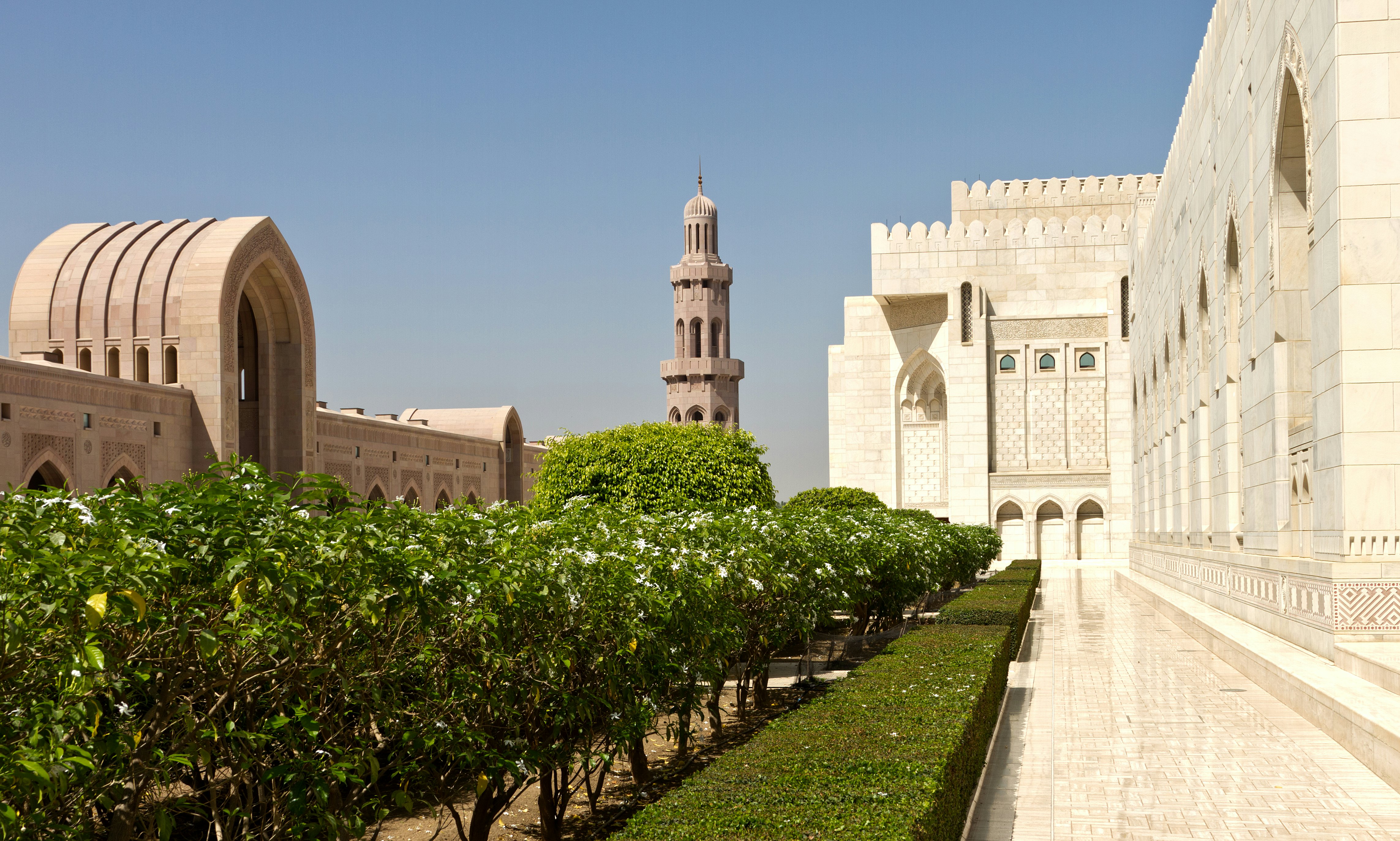 A mosque with trees lining the walkway