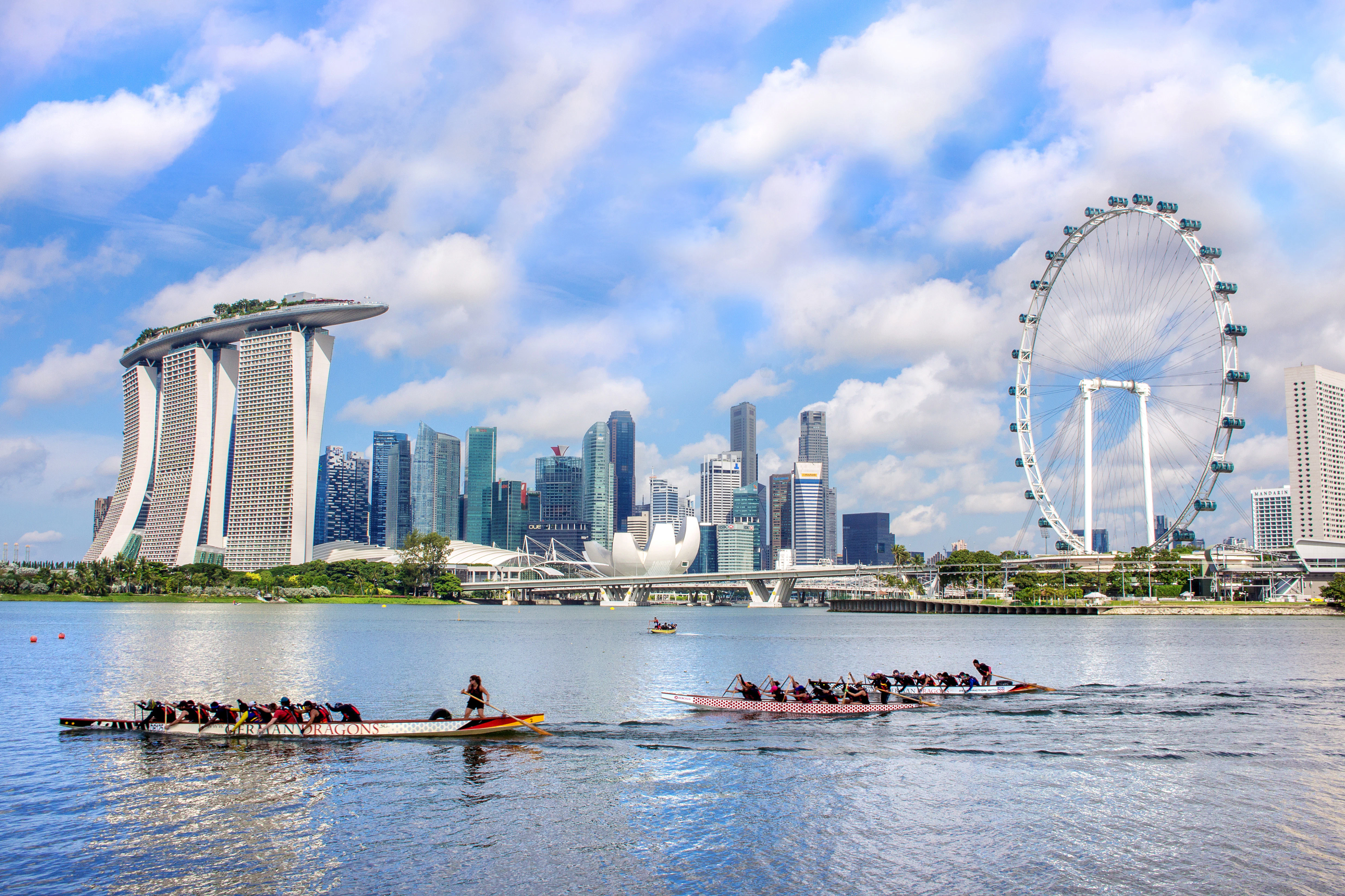 People row dragon boats on the water in front of a large city skyline that includes a ferris wheel to the right on a sunny day.