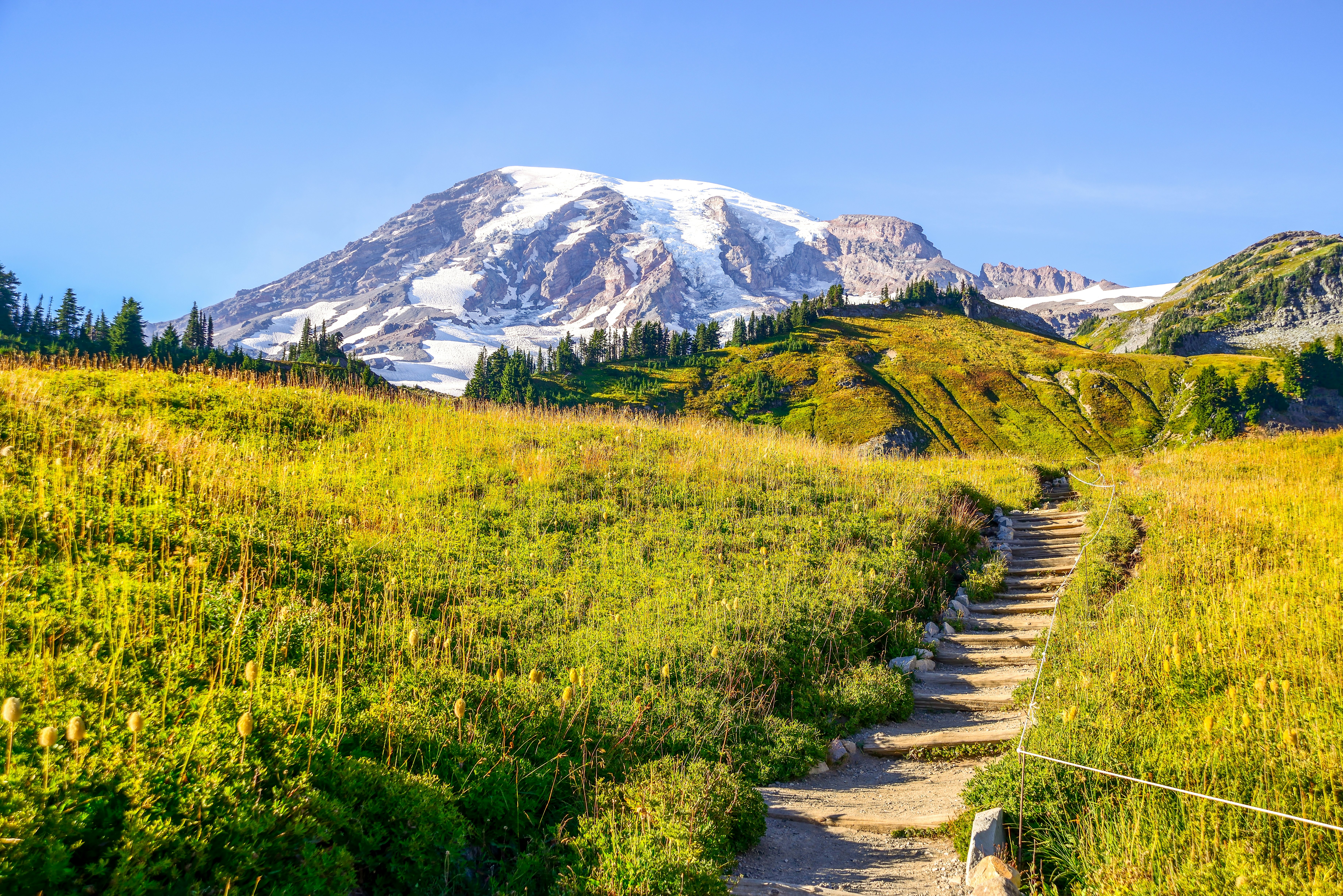 A hiking trail leads through grassland towards a snow-covered mountain peak.