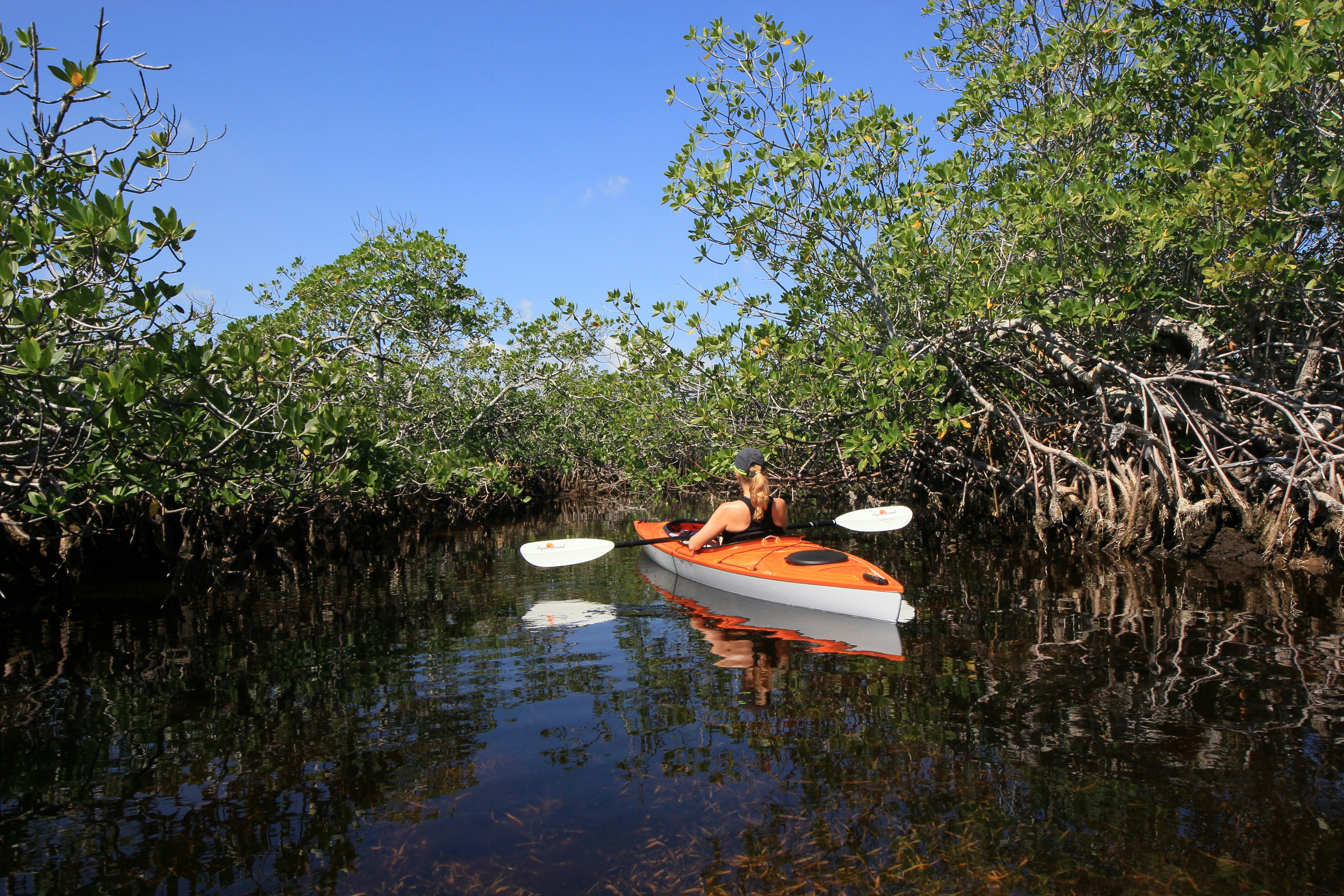 A woman paddles in an orange kayak among the roots of mangrove trees.