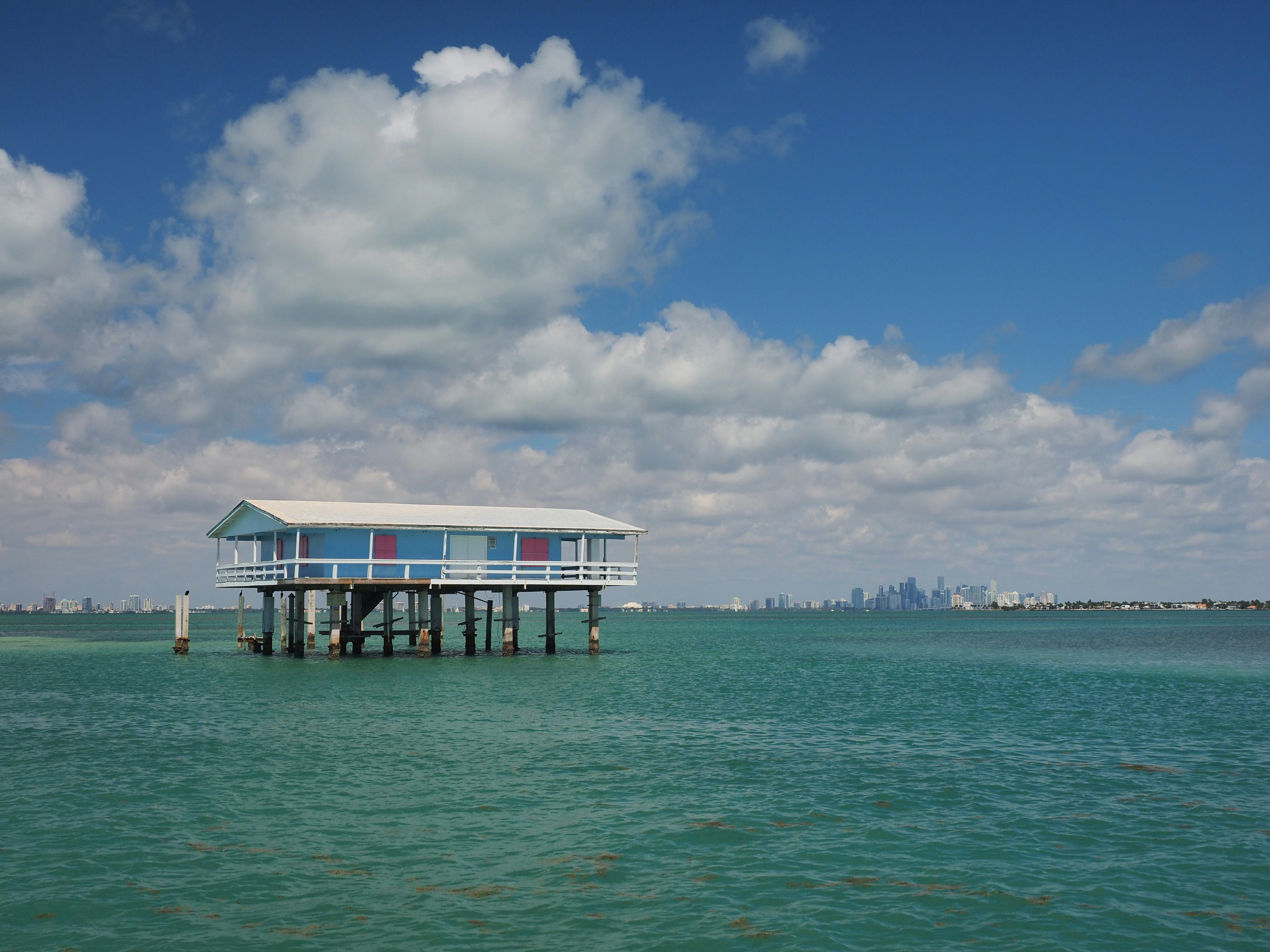 A blue structure on stilts rises from the blue waters of a bay. The skyline of a city is visible on shore in the distance.