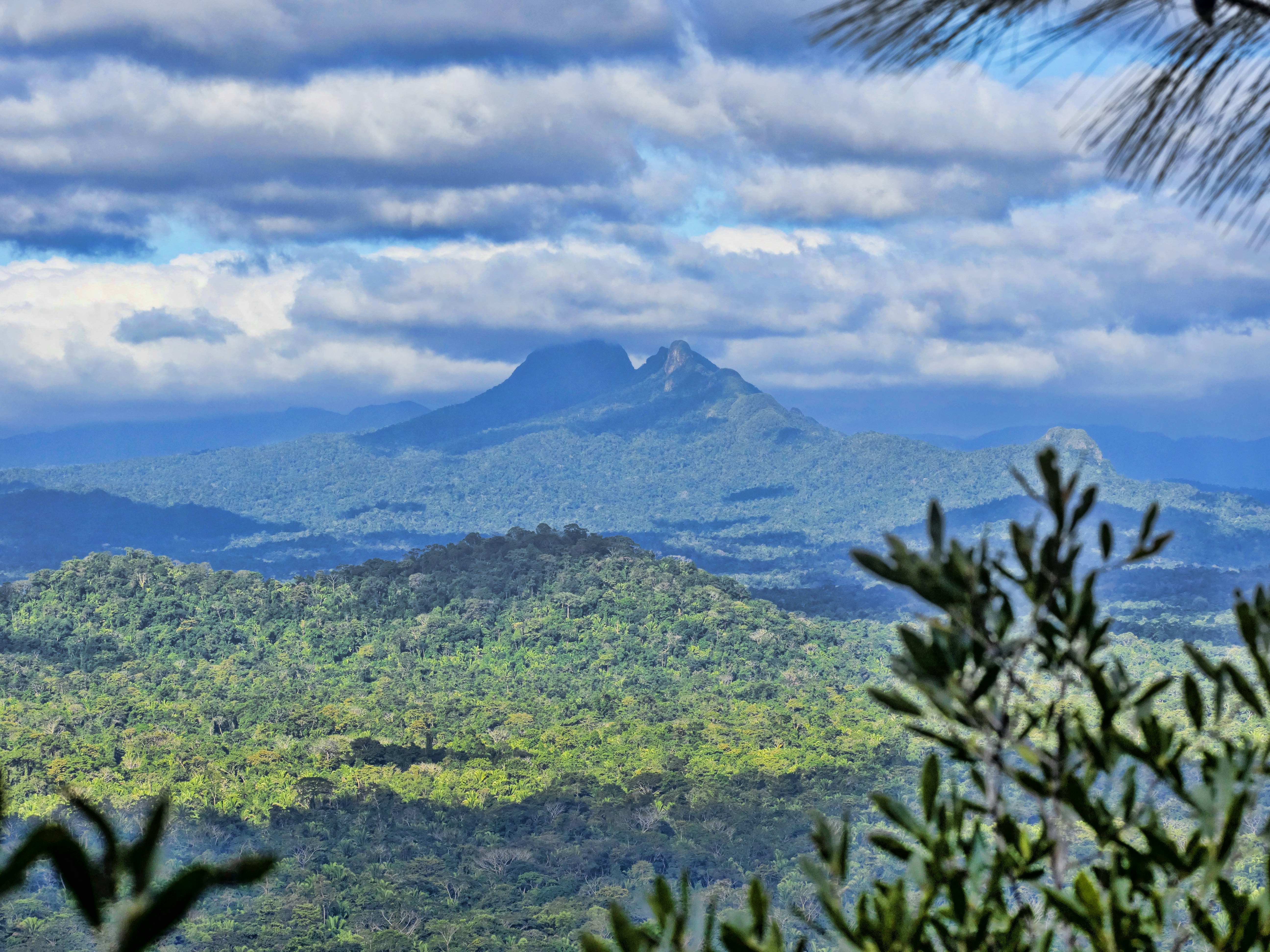 A view of a peak rising from a lush jungle under heavy clouds.