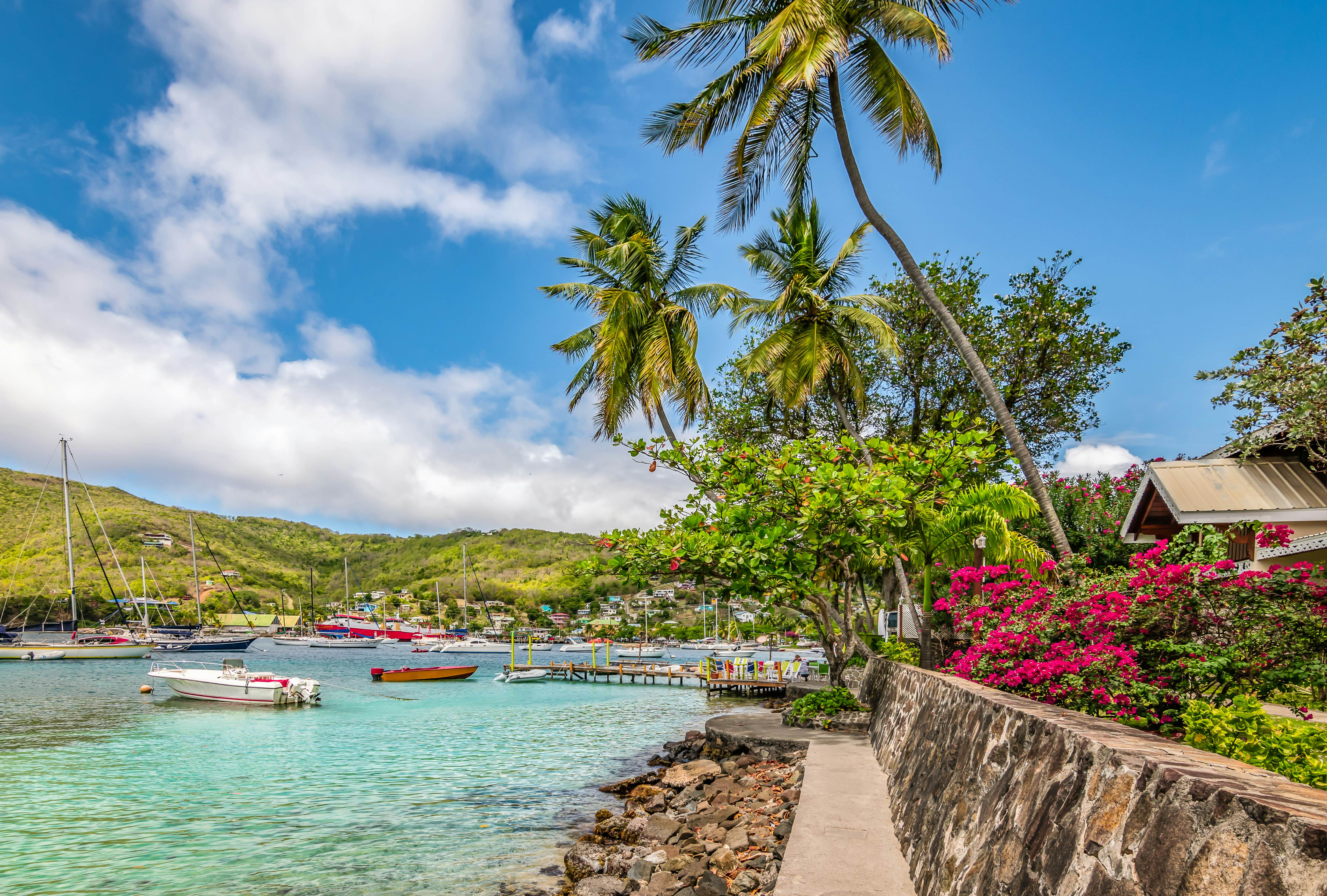 Bequia Island with palm trees at the harbor., License Type: media, Download Time: 2024-07-04T06:34:24.000Z, User: mvm_lonelyplanet, Editorial: false, purchase_order: 56530, job: Global Publishing-WIP, client: The World 3, other: Virginia Moreno