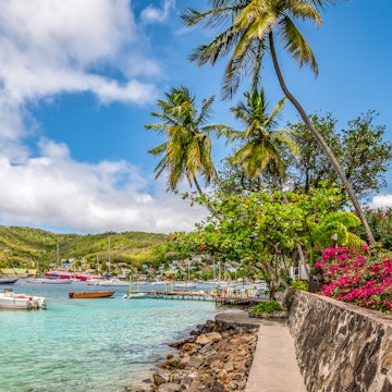 Bequia Island with palm trees at the harbor., License Type: media, Download Time: 2024-07-04T06:34:24.000Z, User: mvm_lonelyplanet, Editorial: false, purchase_order: 56530, job: Global Publishing-WIP, client: The World 3, other: Virginia Moreno