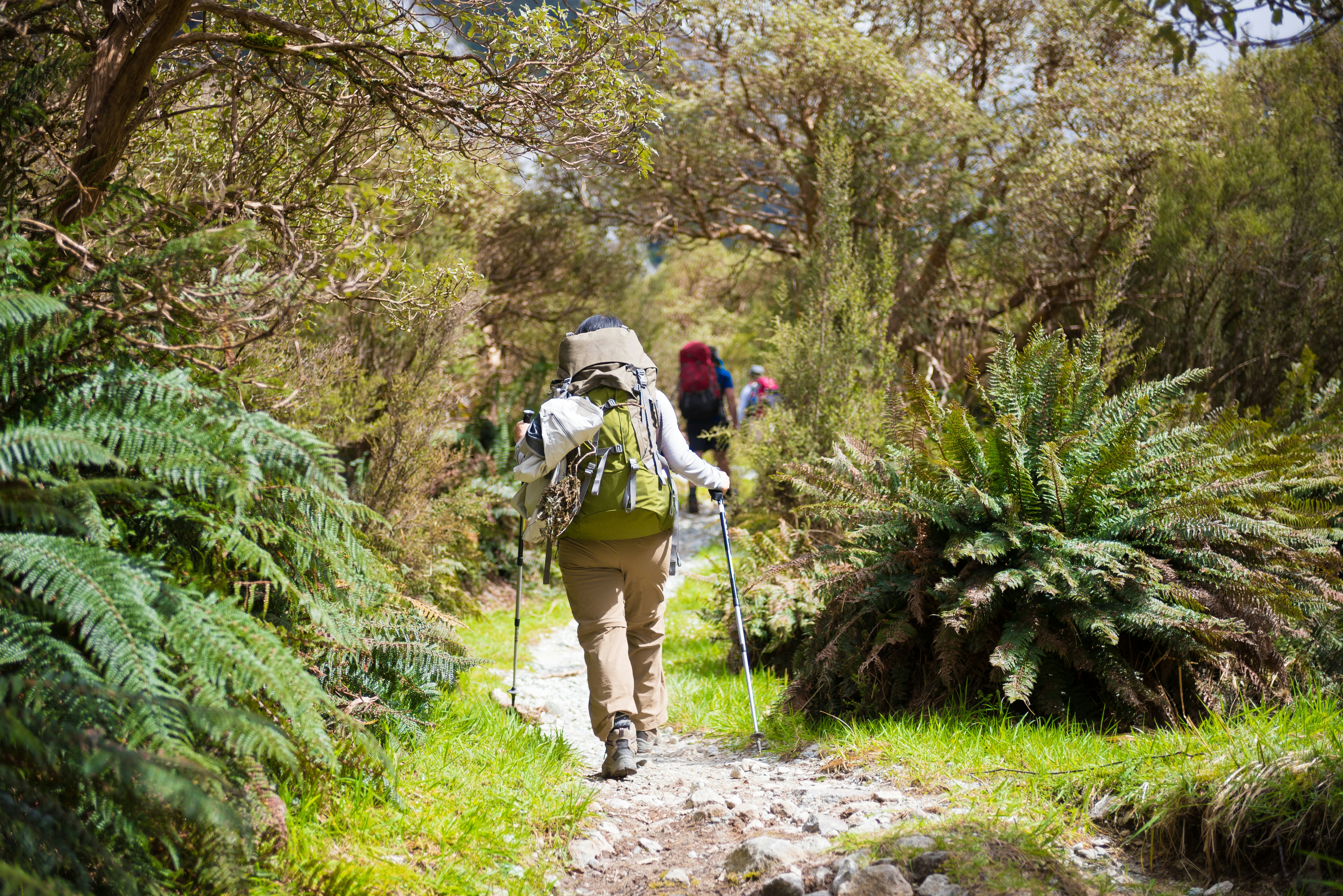 A hiker carrying their gear along a stony hiking trail through dense woodland.