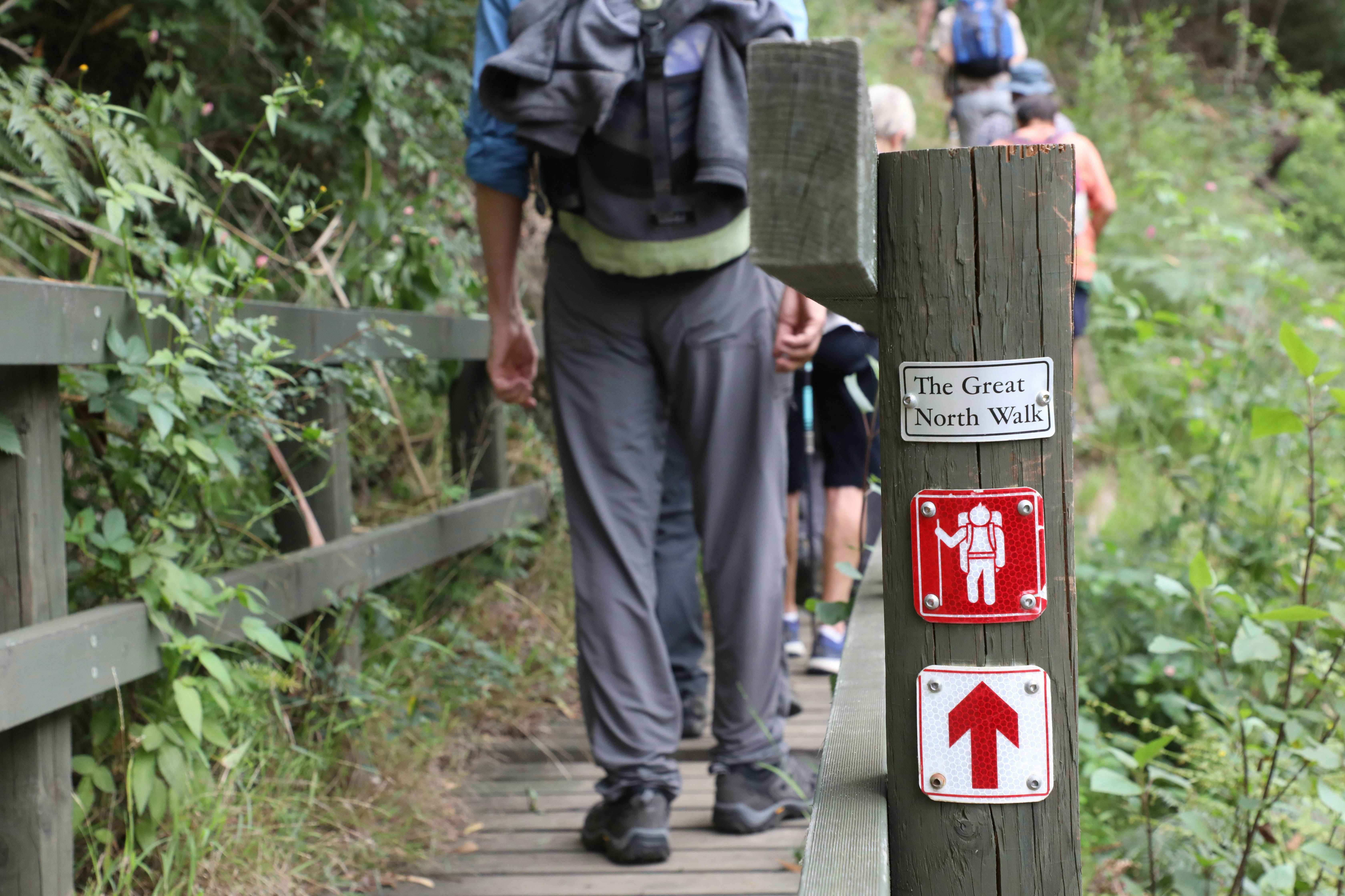 A man in hiking gear walks past a post with directional signs on a hiking trail.