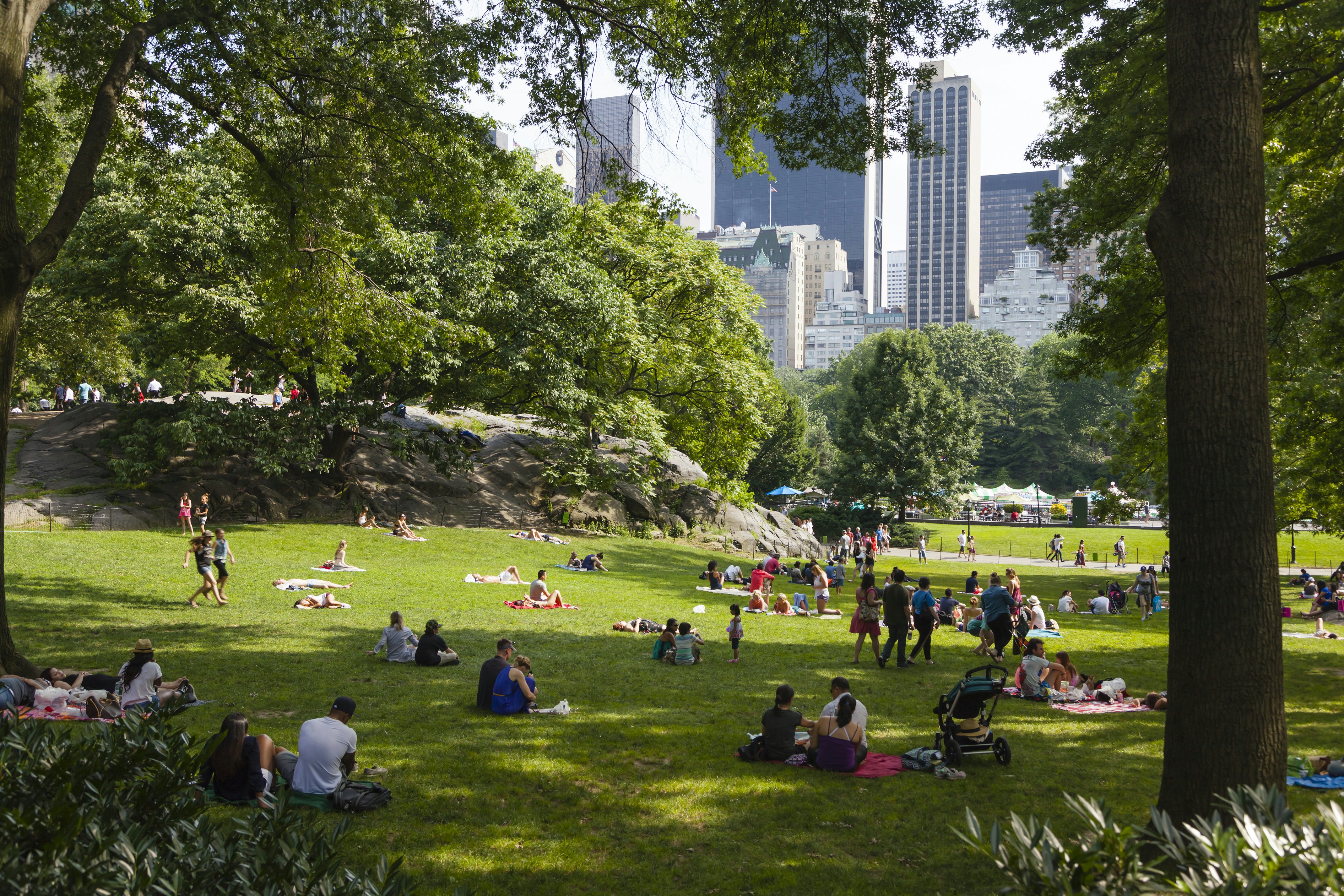 Tourist and locals enjoying the sun on the southern meadows of Central Park in New York