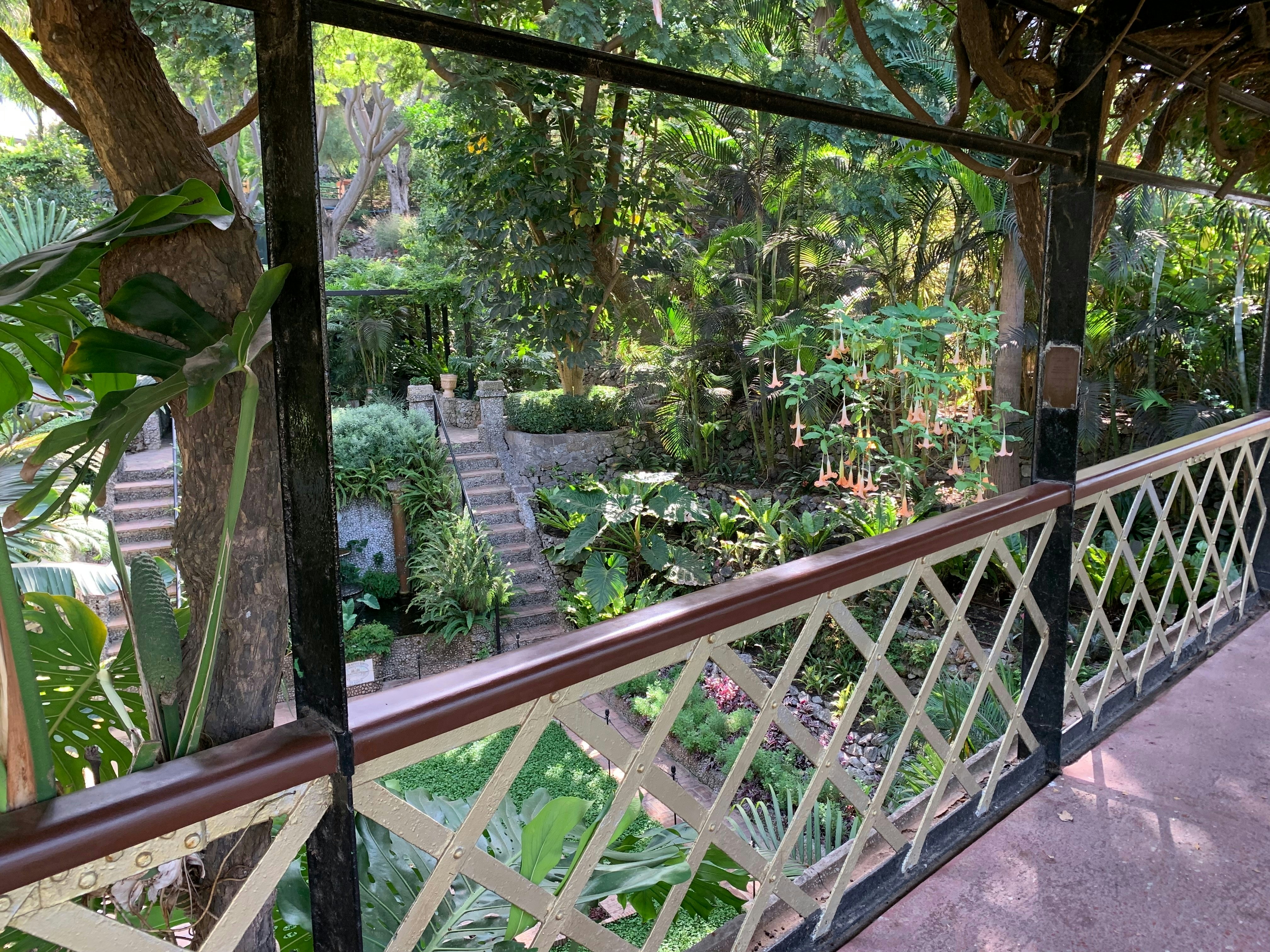 View of lush green tropical gardens from a foot bridge