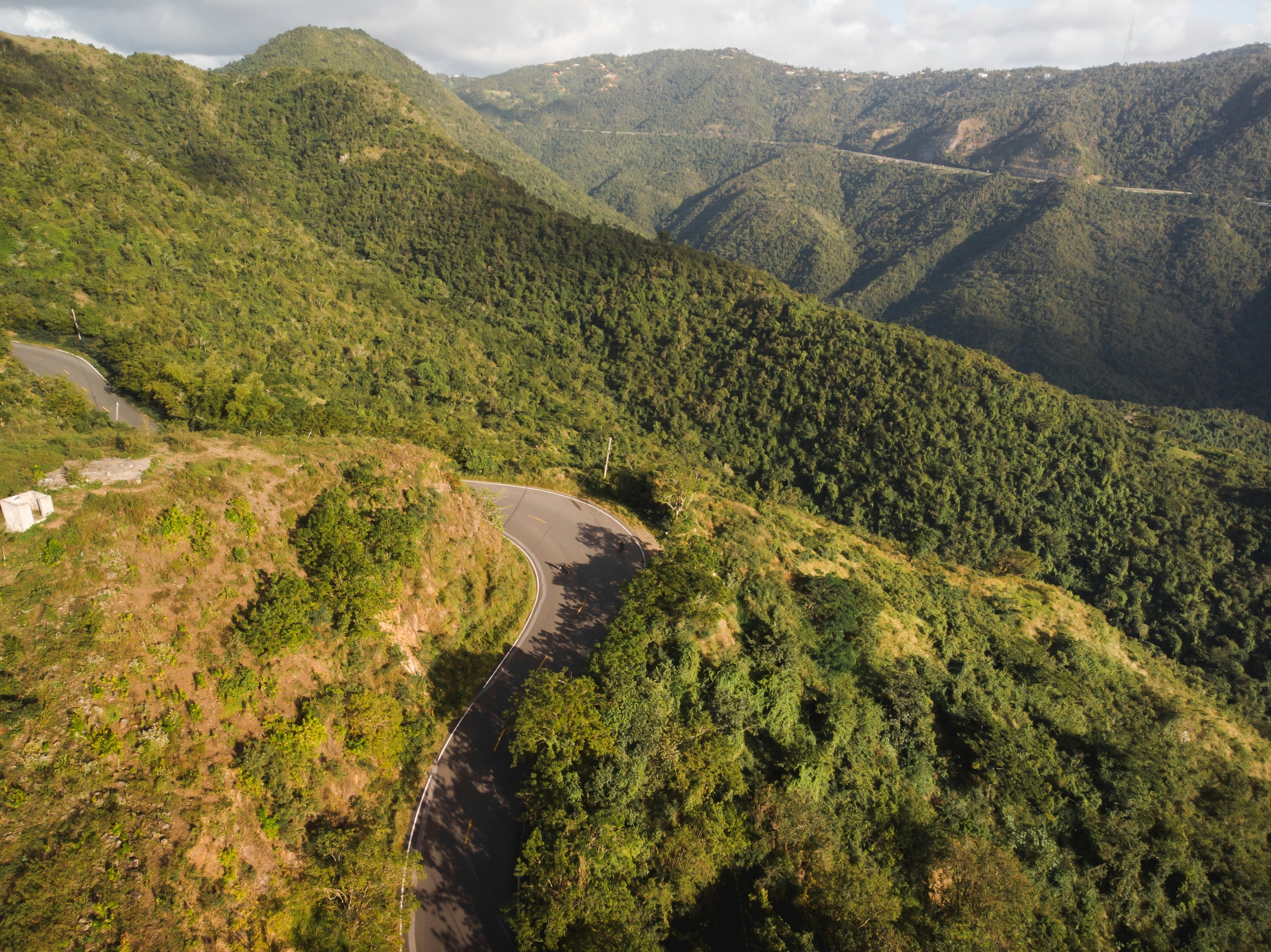An aerial view of a curved road cutting through trees on a hillside in Puerto Rico.