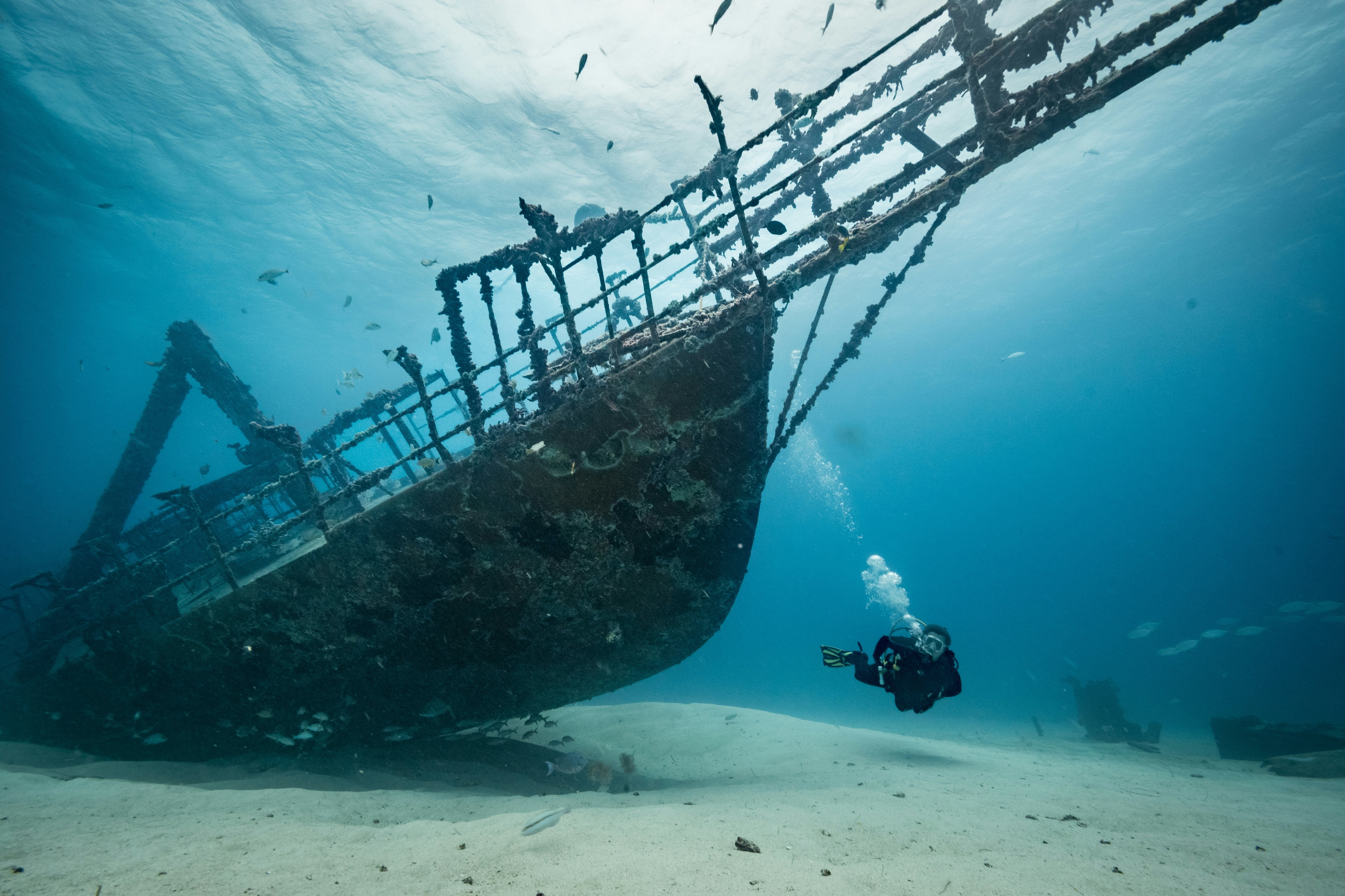 A person in scuba gear swims by a shipwreck on an ocean floor
