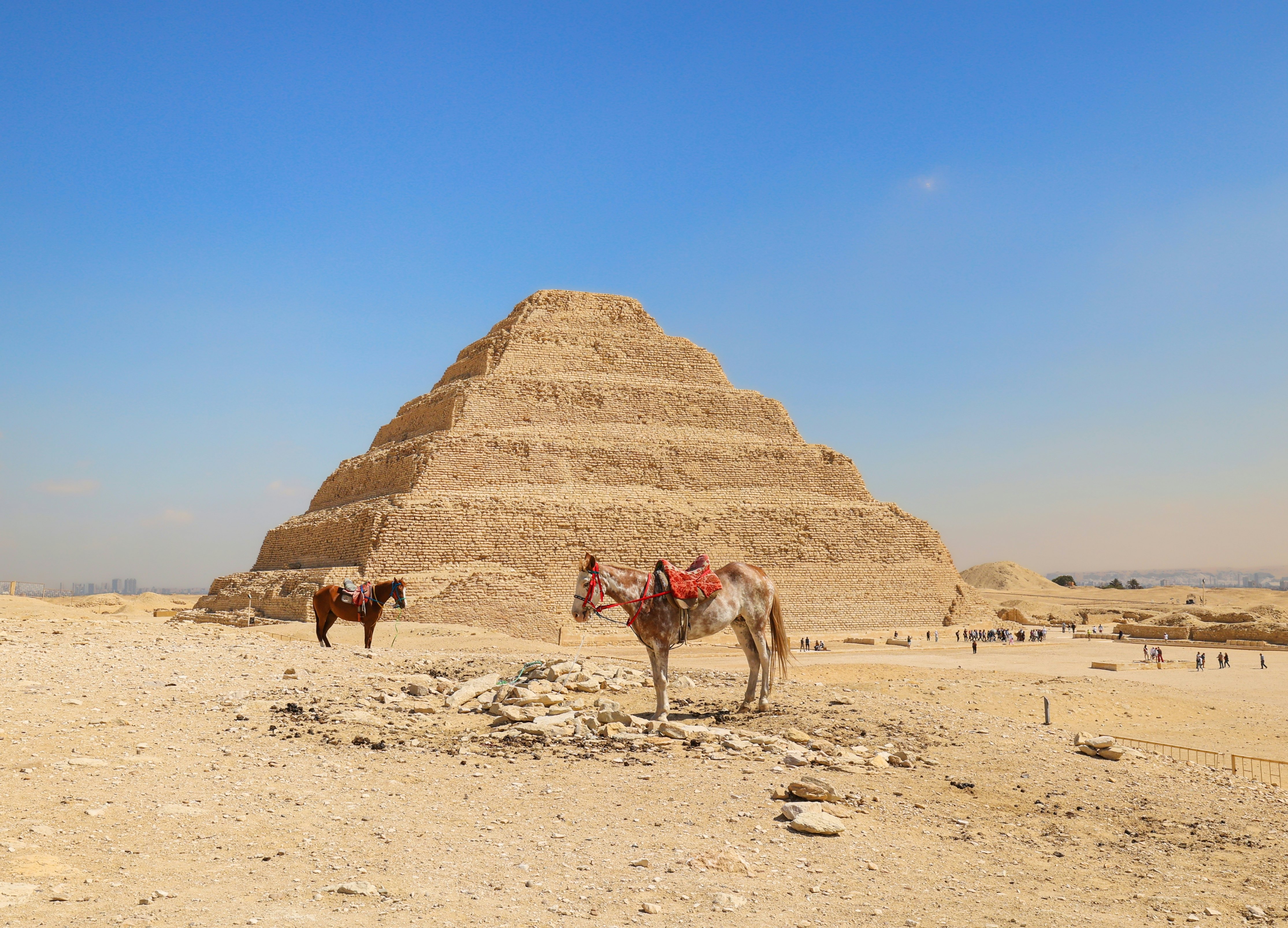 A pyramid in Egypt with two horses and saddles in the foreground