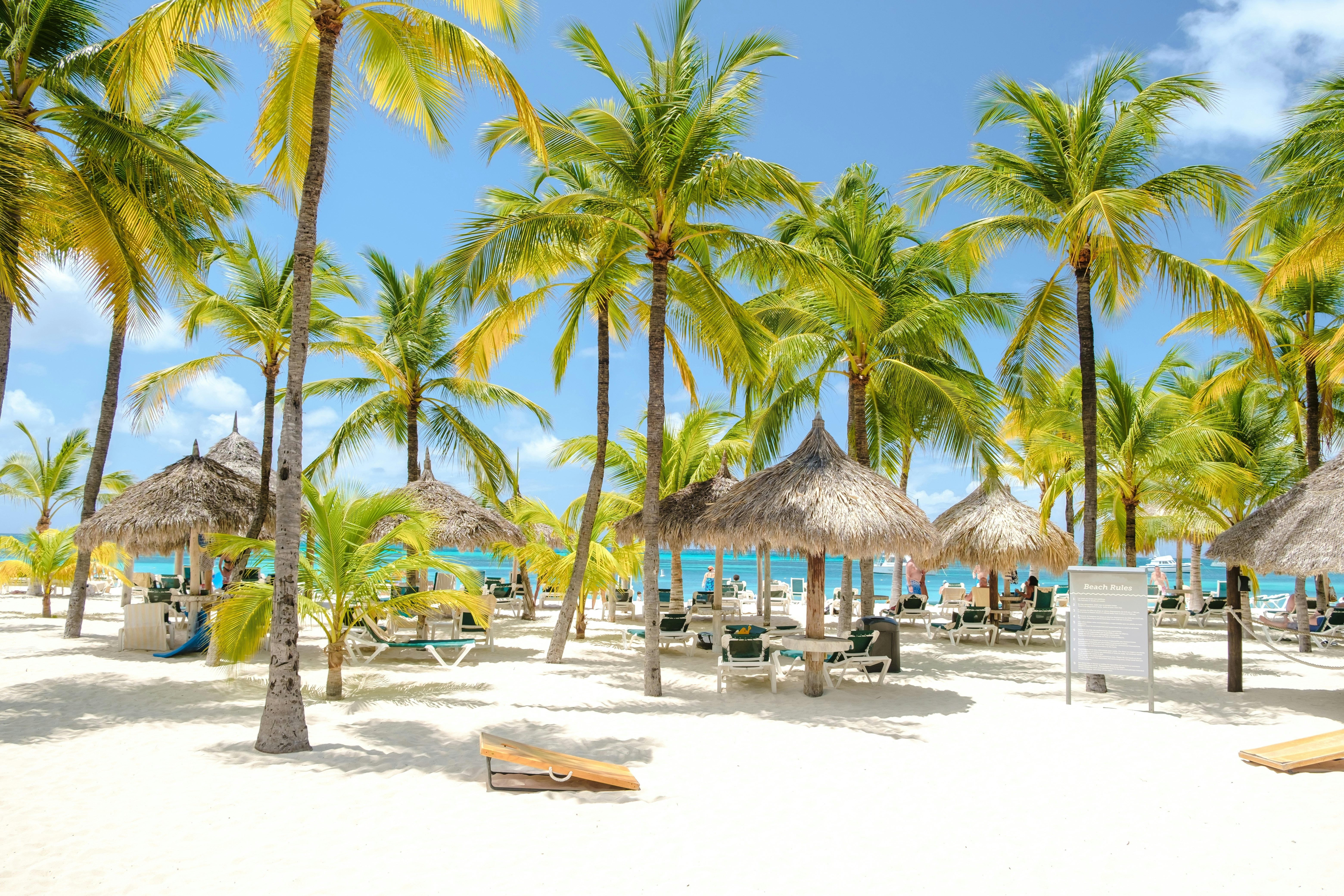 Long white sandy beach with palm trees and thatched-roof umbrellas over loungers on a sunny day.