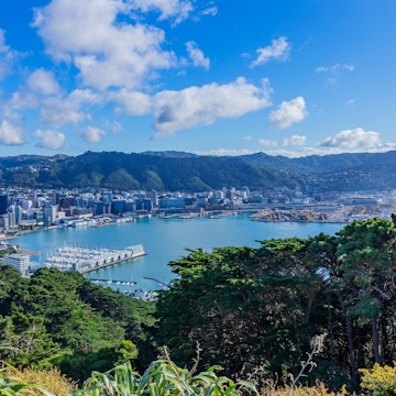 View over the capital Wellington from Mount Victoria, North Island, New Zealand, License Type: media, Download Time: 2025-11-05T16:31:11.000Z, User: clairenaylor, Editorial: false, purchase_order: 65050 - Digital Destinations and Articles, job: Online editorial, client: Wellington things to do, other: Claire Naylor