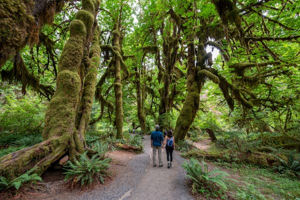 The 17 best things to do in Washington state