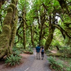 Olympic National Park, Washington - July 30, 2023 - People hiking Hall of Mosses Trail in Hoh National Rainforest in summer., License Type: media, Download Time: 2025-09-02T16:23:33.000Z, User: Norma.PrauseBrewer_LonelyPlanet, Editorial: true, purchase_order: 56530 - Guidebooks, job: Global Publishing WIP, client: usa-pacific-northwest-2025-planning-map-1, other: Norma Brewer