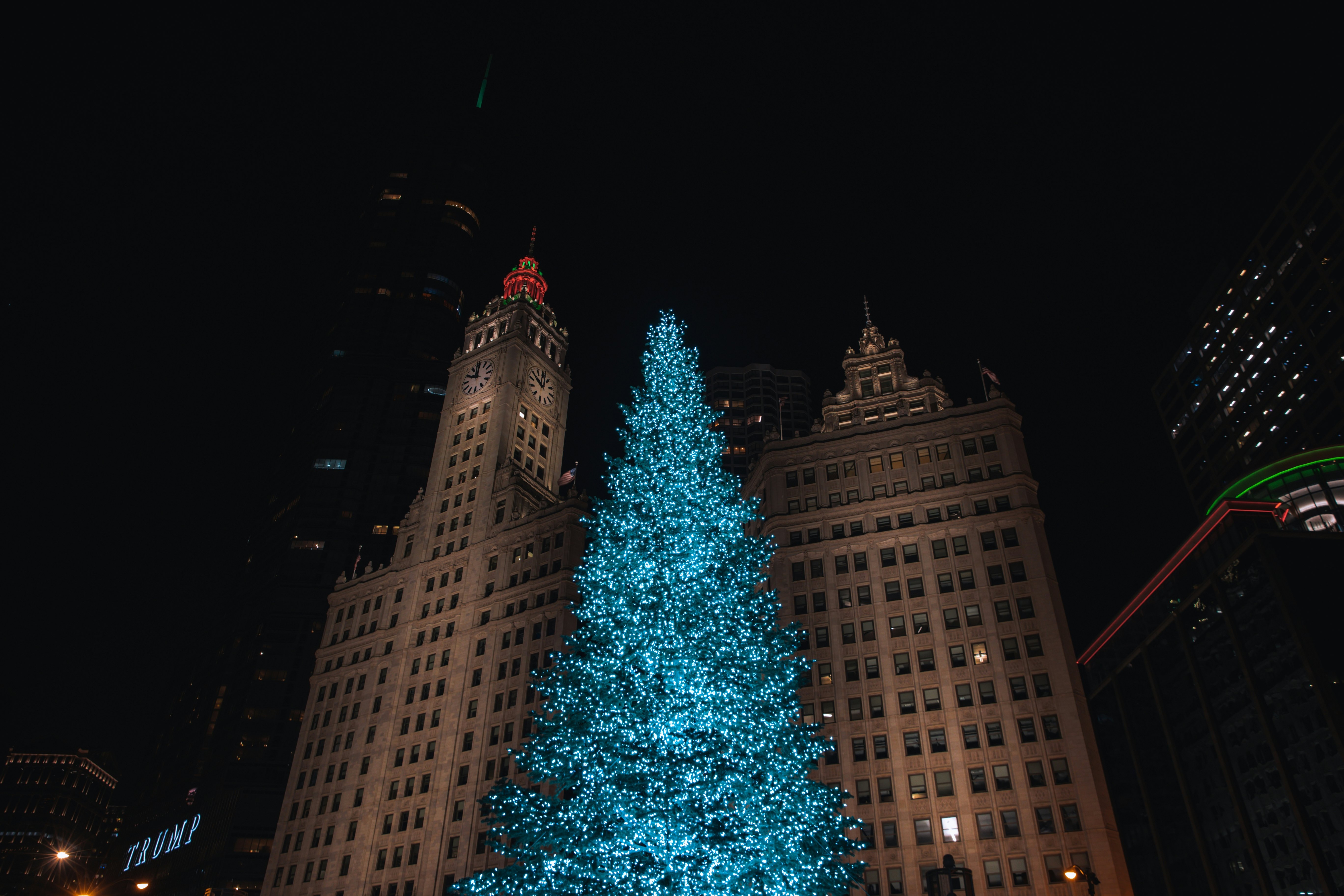 A lit-up Christmas tree with two skyscrapers behind