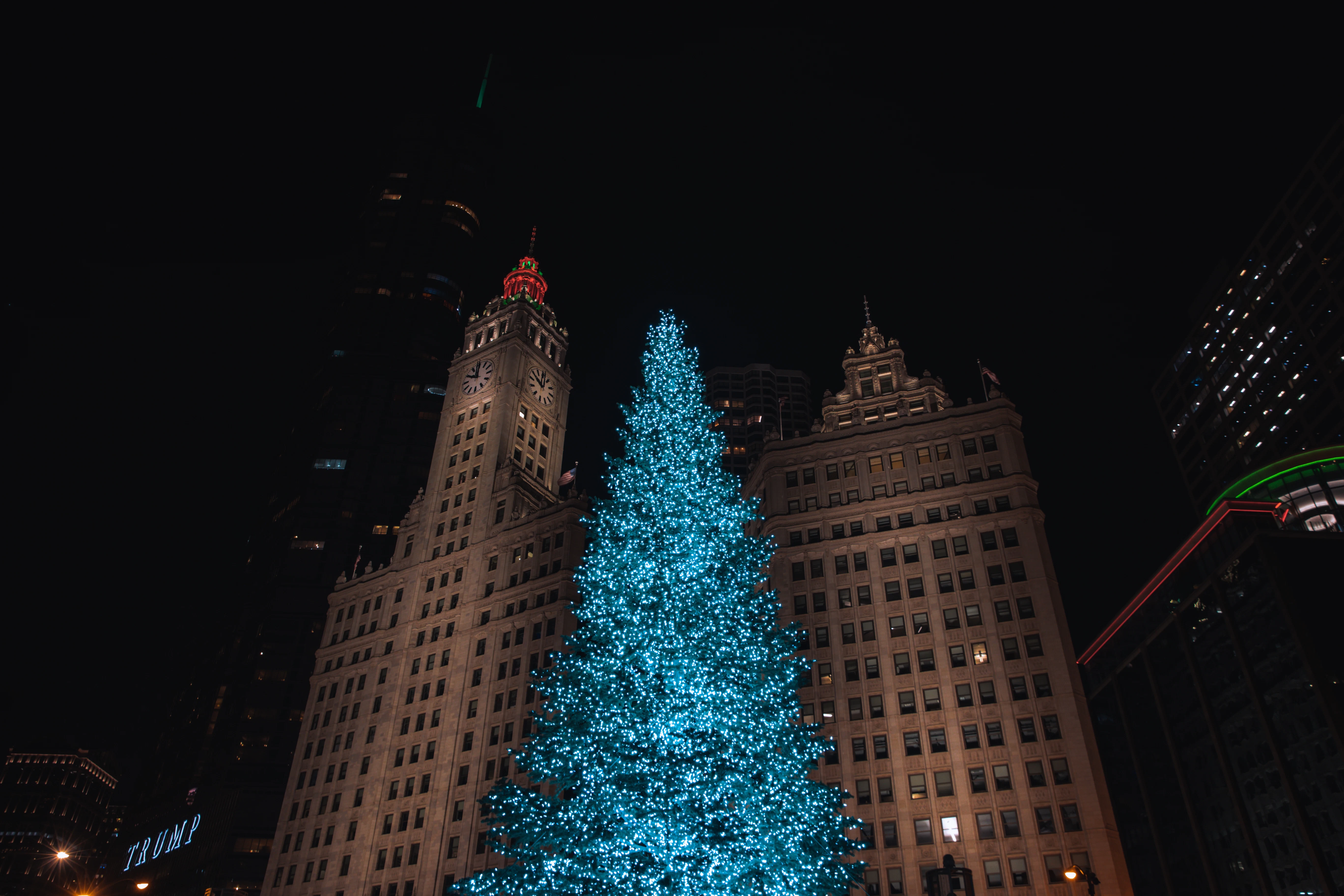 A lit-up Christmas tree with two skyscrapers behind