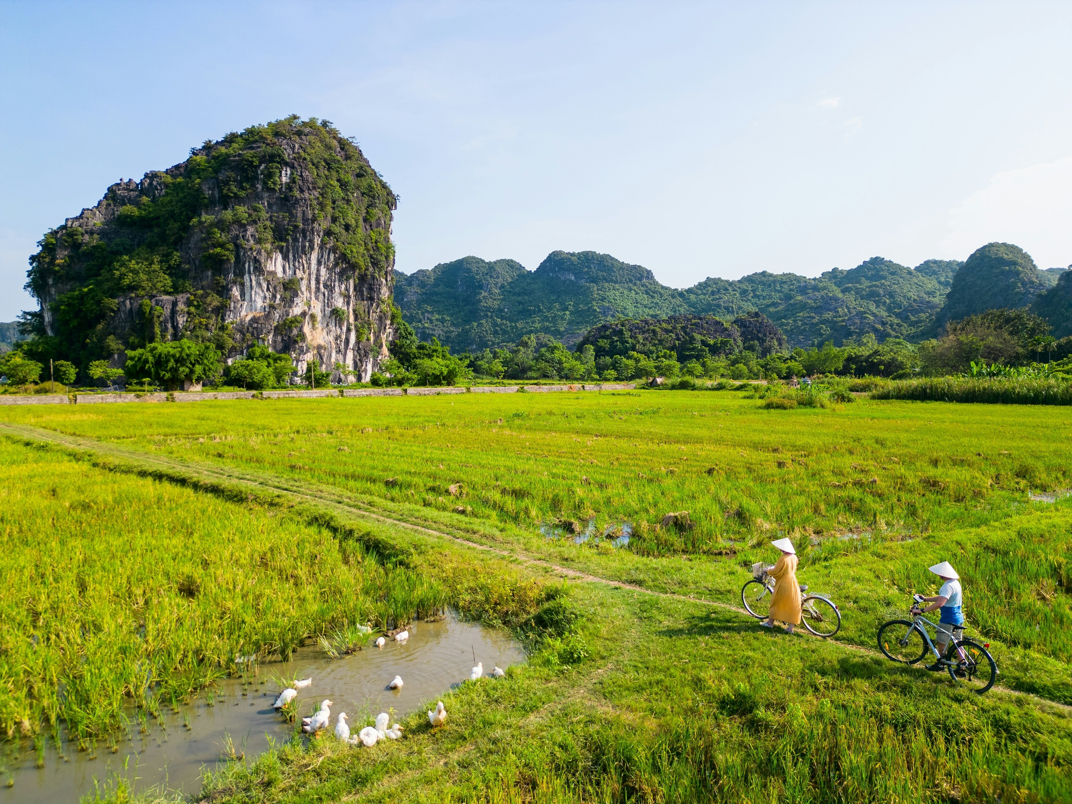 Two people ride bikes in Vietnam along a path with green fields