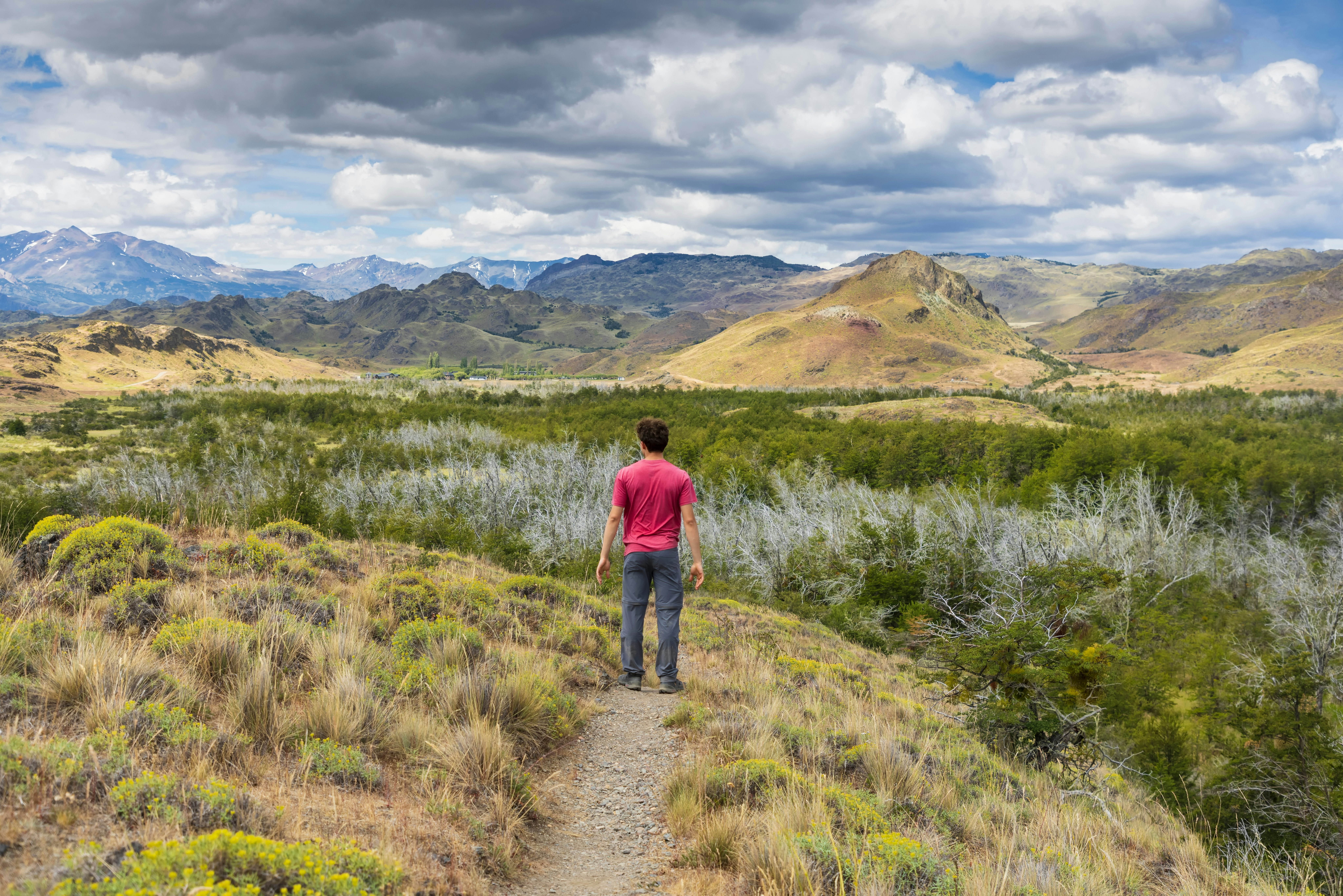 A man in a pink shirt is seen from behind on a hiking trail in a wilderness with meadows and mountains in the distance.
